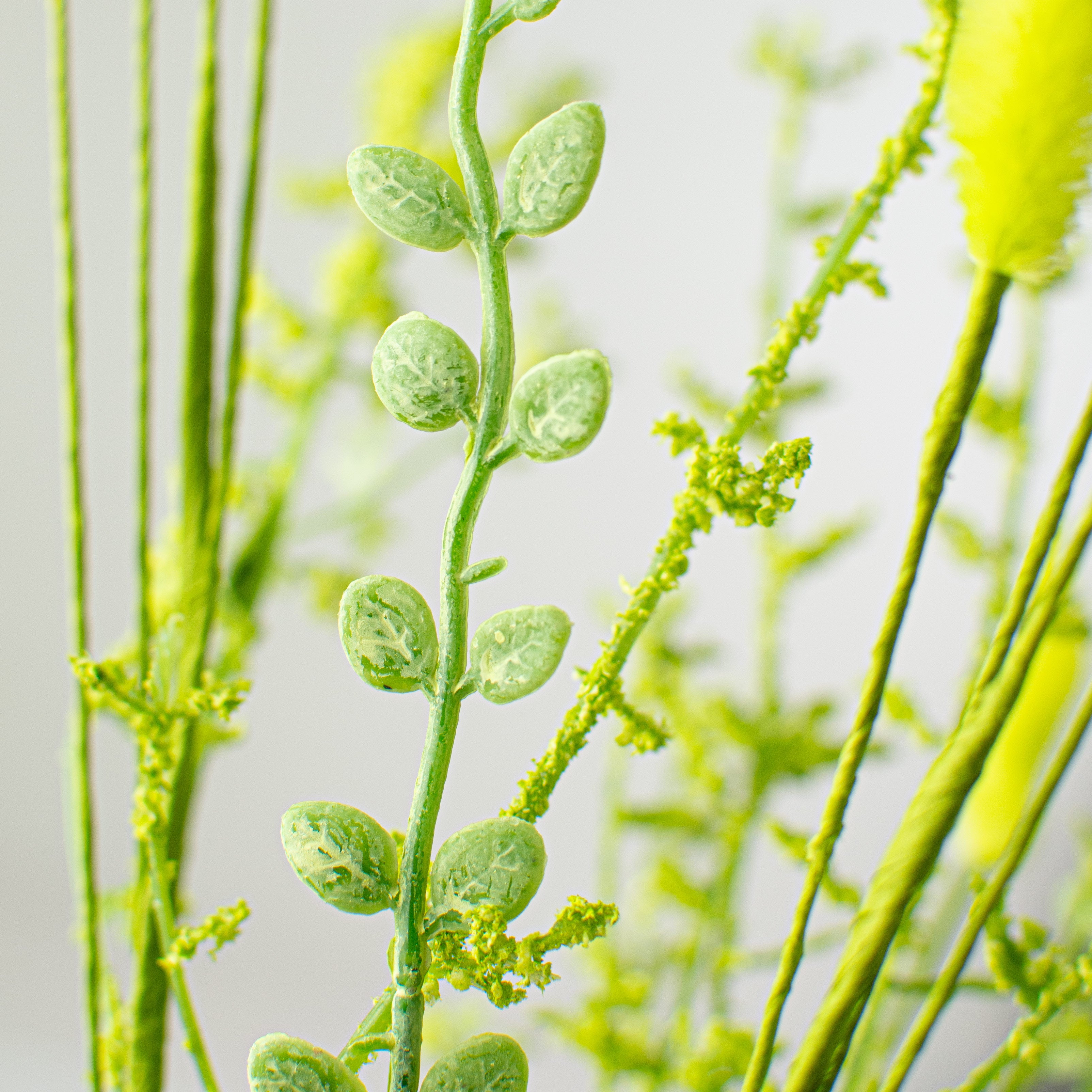 24" Bunny Tail & Leaves Bush: Green detail photo 4