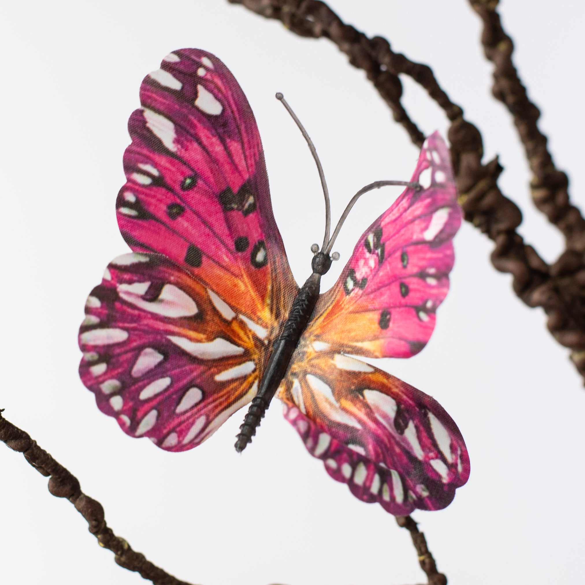 23" Butterfly Bush: Purple, Fuchsia Pink, Orange Lifestyle Photo