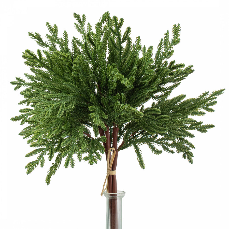 18" Norfolk Pine Spray Bundle: Dark Green