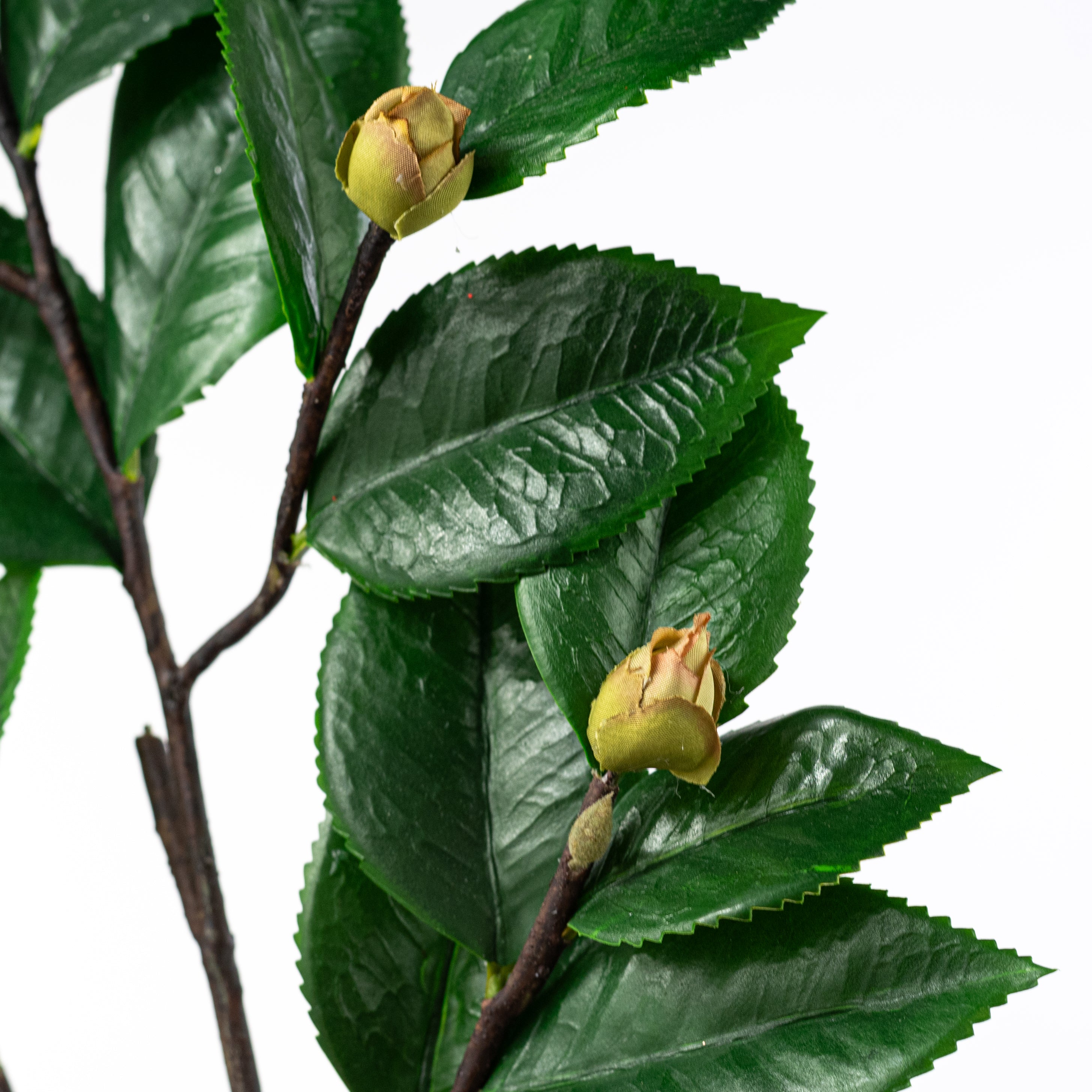 27" Camellia Leaves & Buds Branch Lifestyle Photo