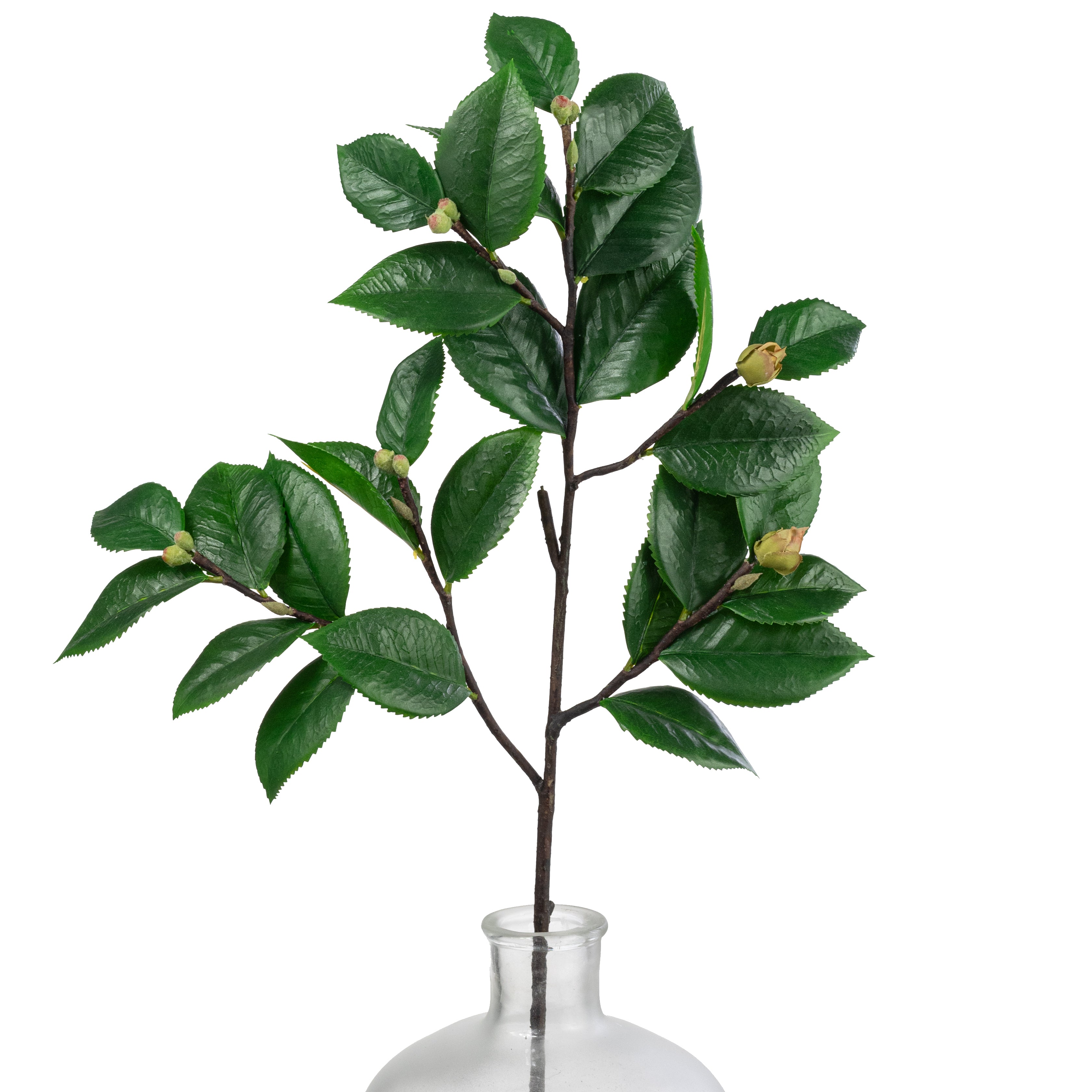 27" Camellia Leaves & Buds Branch Item Number: 2330098GR