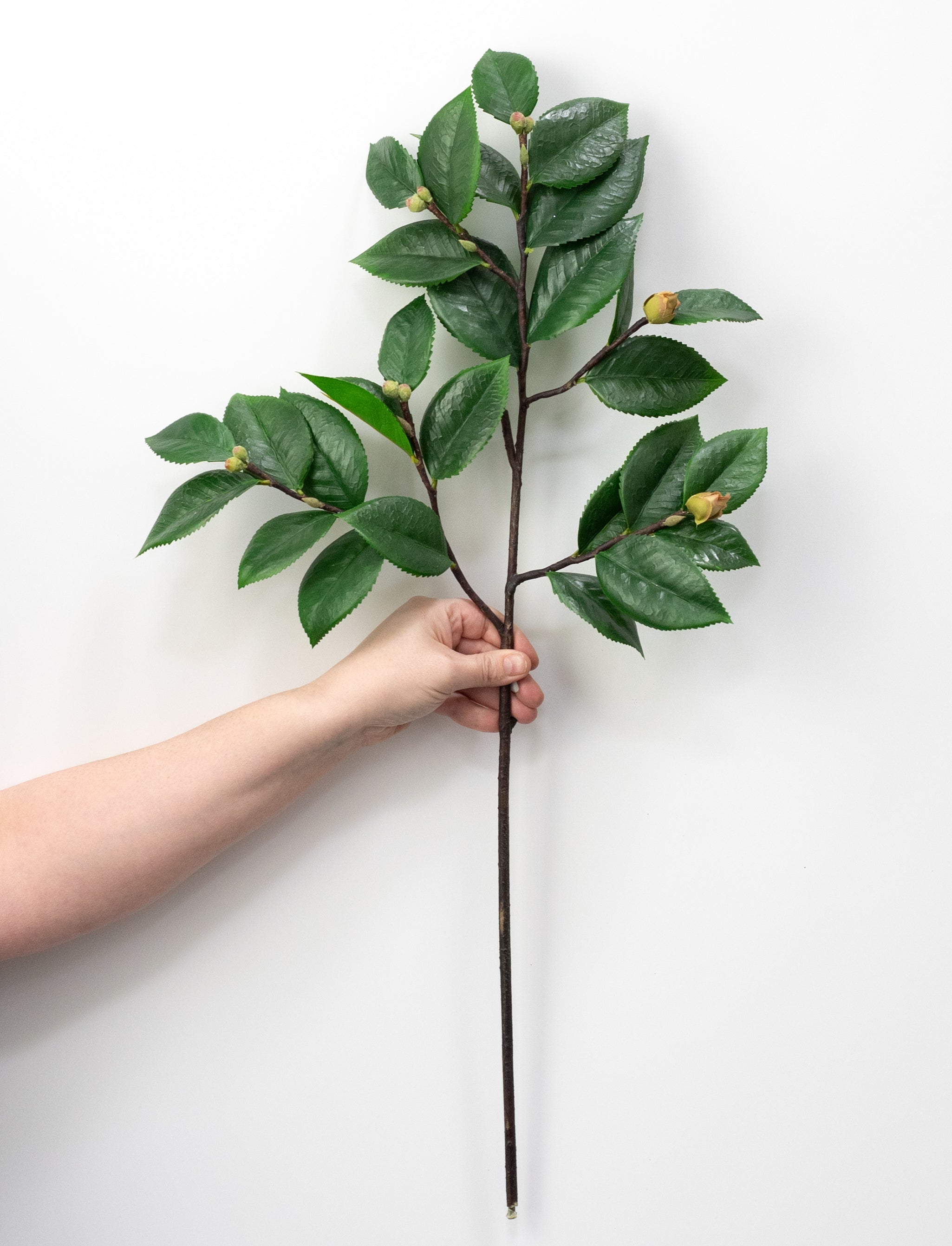 27" Camellia Leaves & Buds Branch detail photo 3