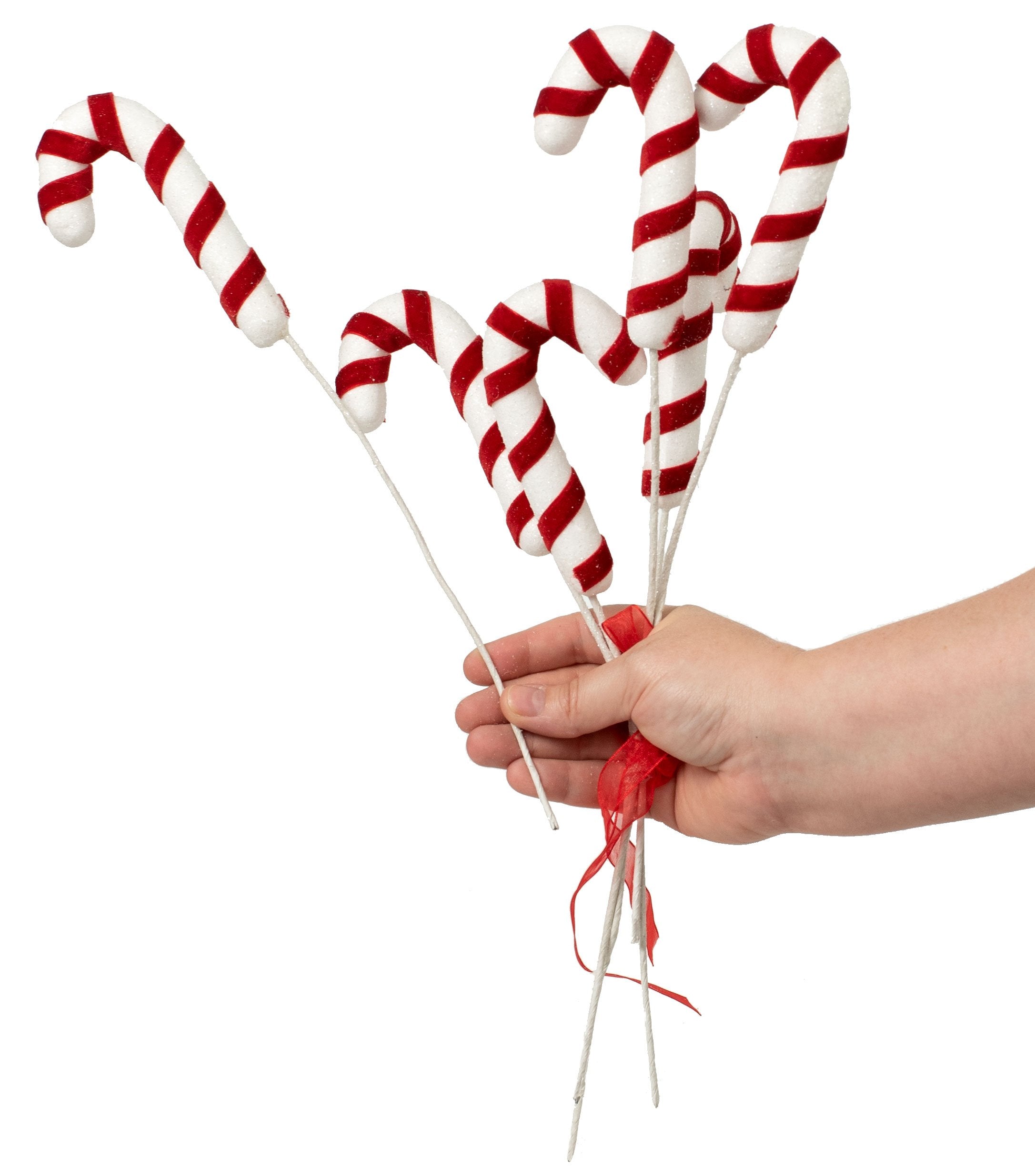14" Candy Cane Pick Bundle (6) Lifestyle Photo