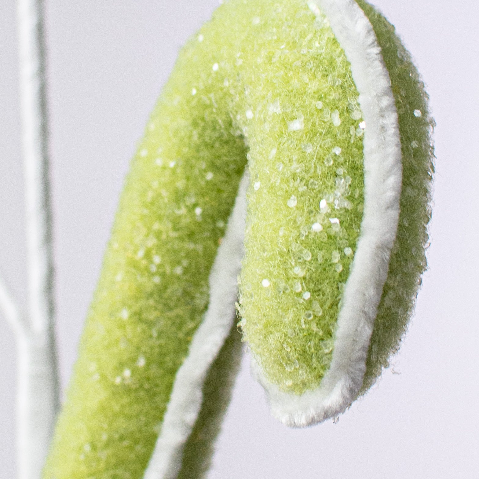 26" Candy Cane Spray: Green detail photo 4
