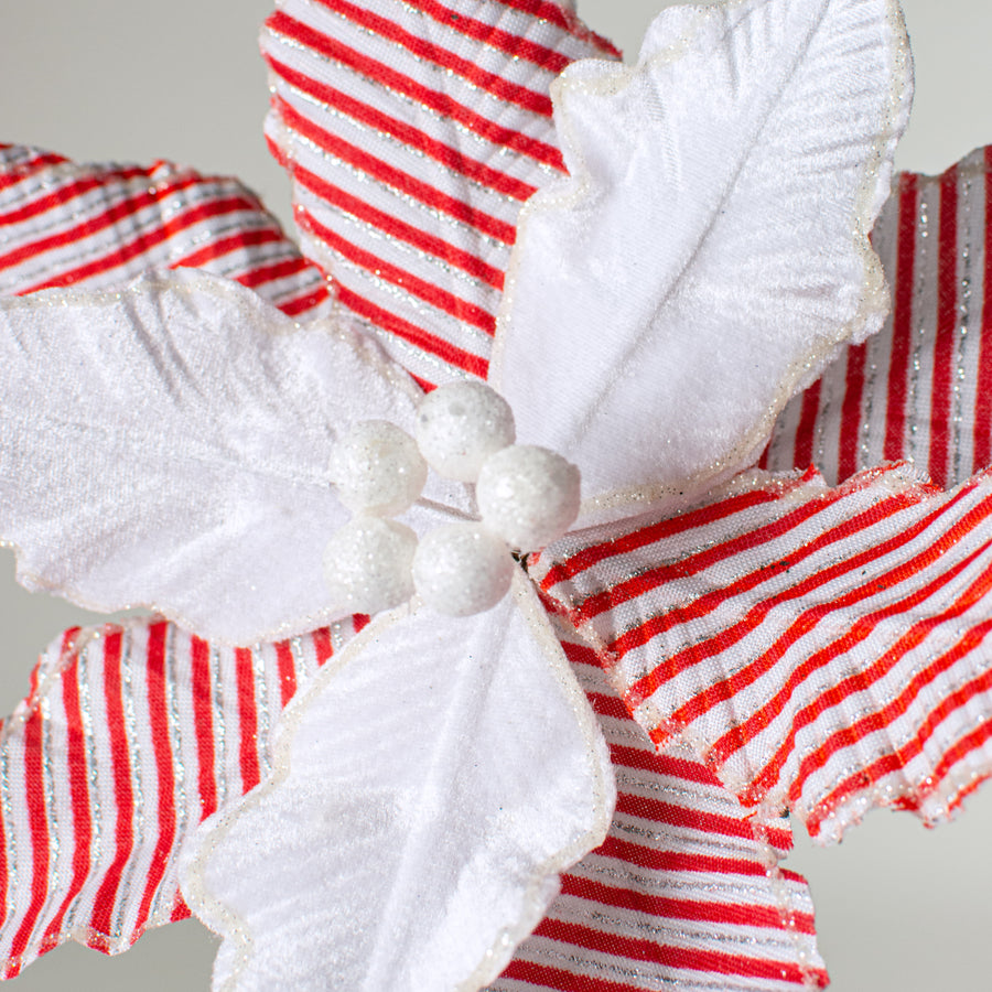 22" Candy Stripe Poinsettia Stem Lifestyle Photo