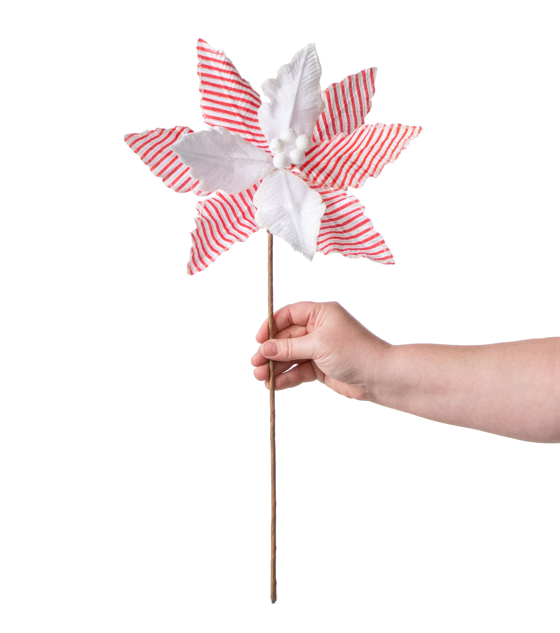 22" Candy Stripe Poinsettia Stem detail photo 3