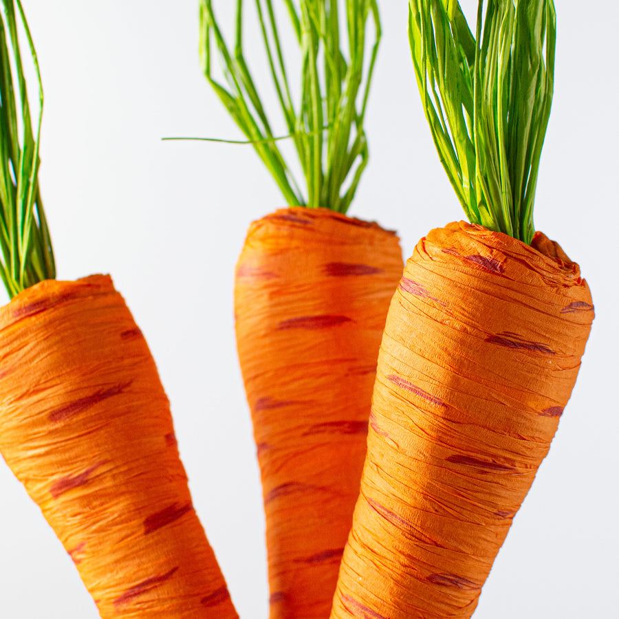 16" Carrot Bundle: Two Tone Orange Lifestyle Photo