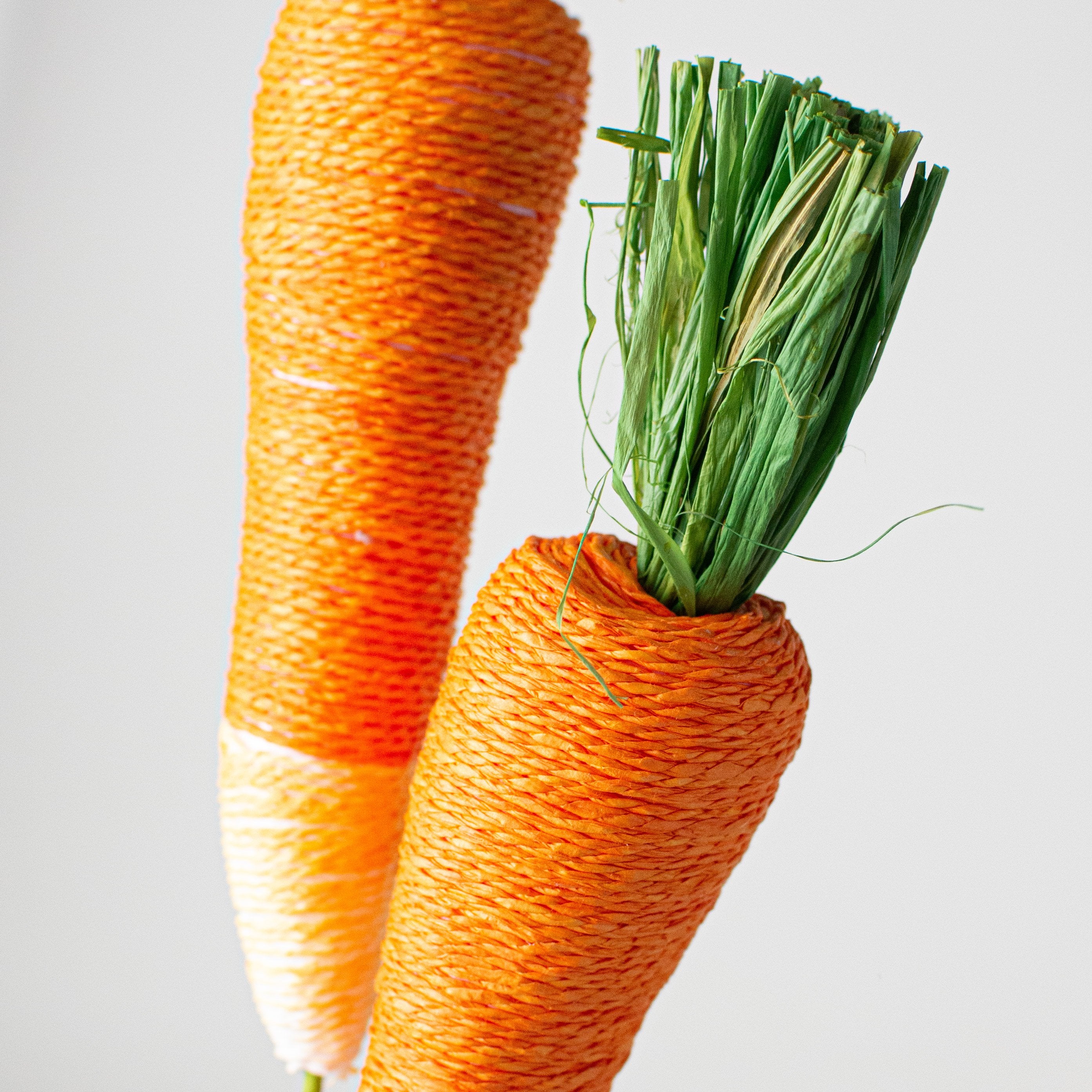 28" Carrot Garden Vegetable Spray Lifestyle Photo