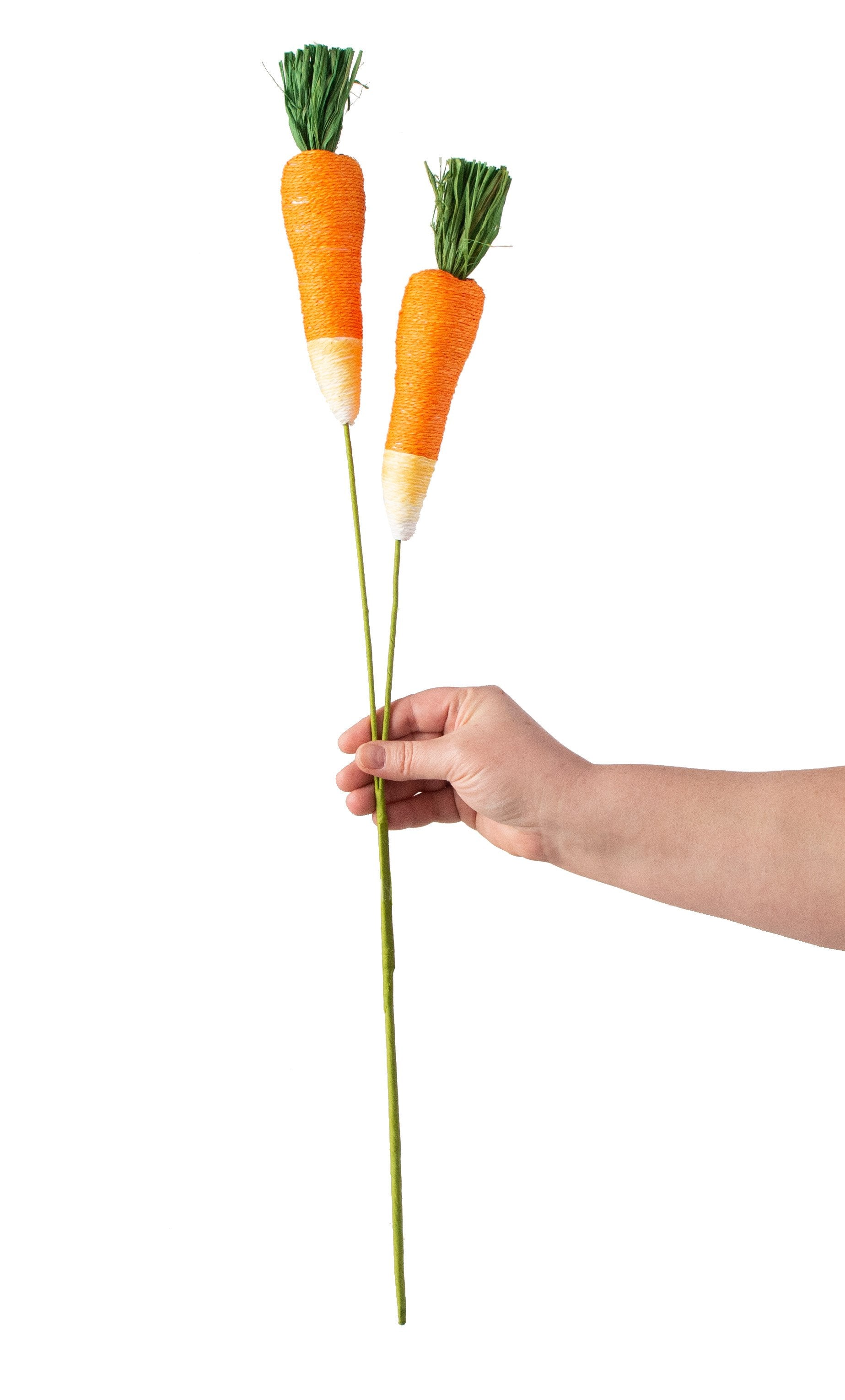 28" Carrot Garden Vegetable Spray detail photo 3