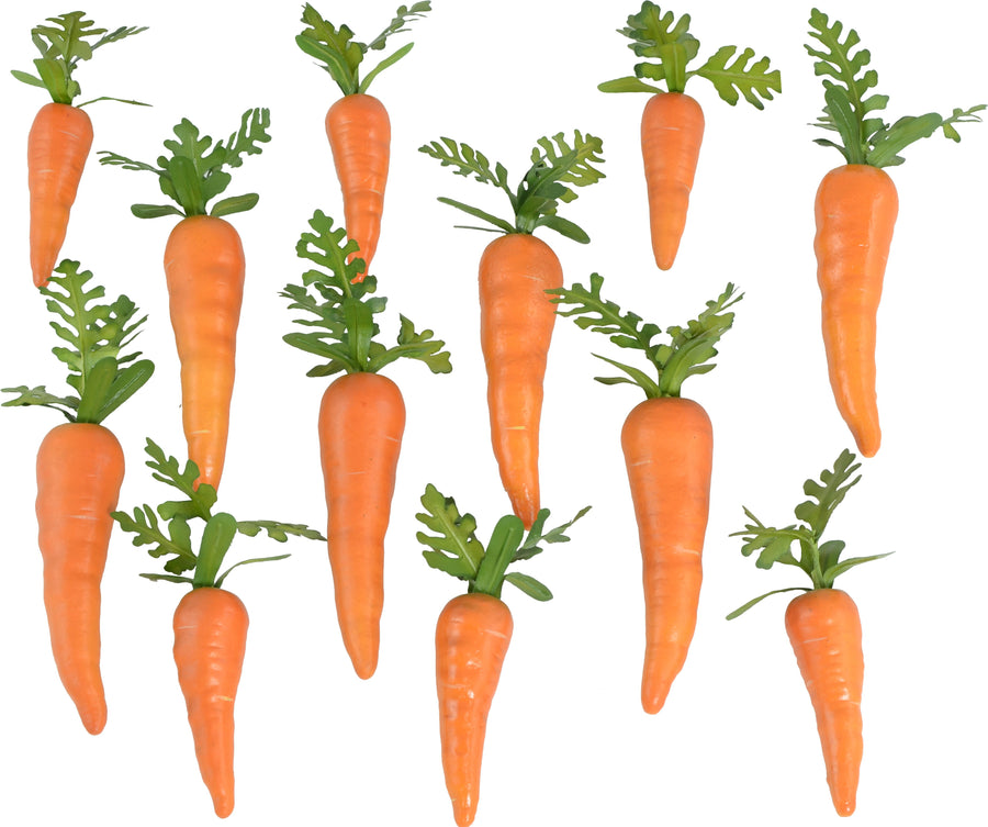 6-7" Carrots (Bag of 12) Lifestyle Photo