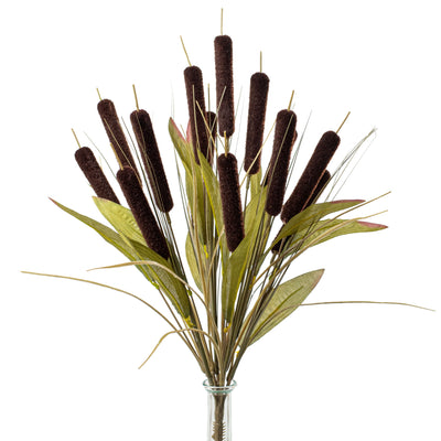 20" Cattail Bush Item Number: 56451DKBN