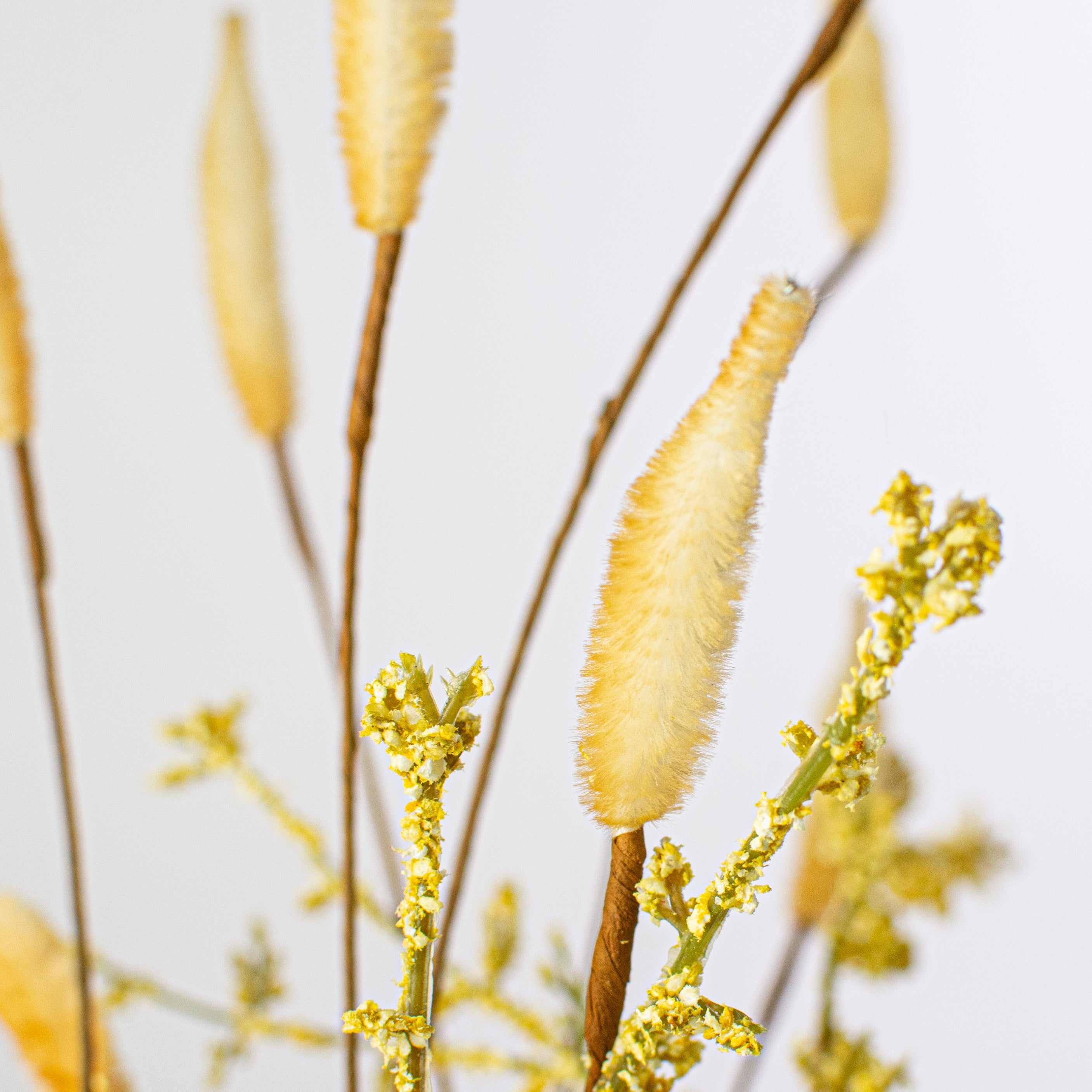 24" Cattail Filler Bush Lifestyle Photo
