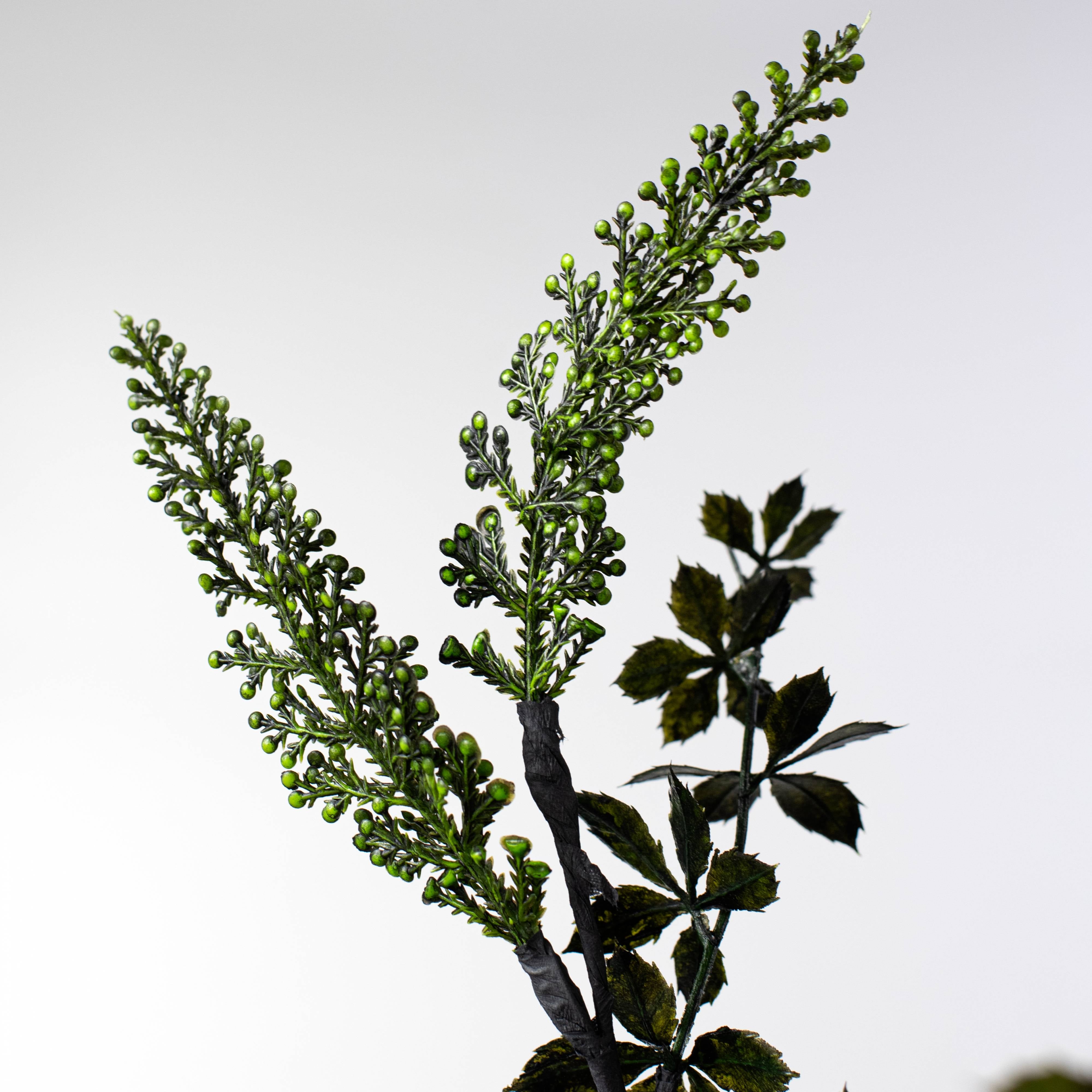 24" Cedar Mix Bush: Black & Green Lifestyle Photo