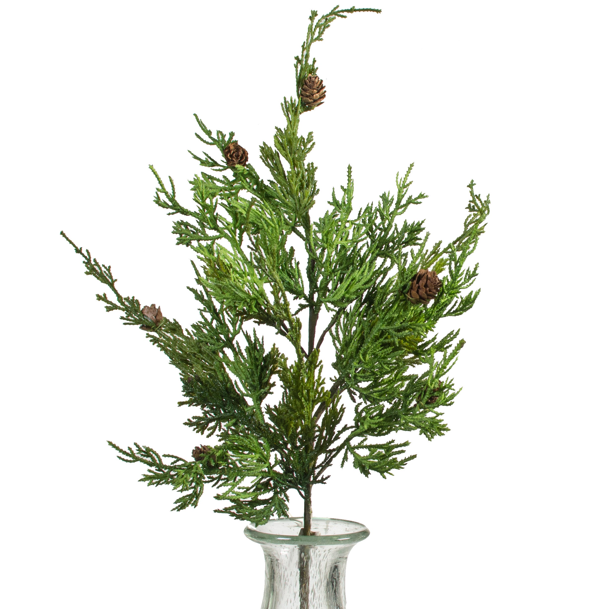25" Cedar Pine & Pinecone Spray Item Number: 2830184GR