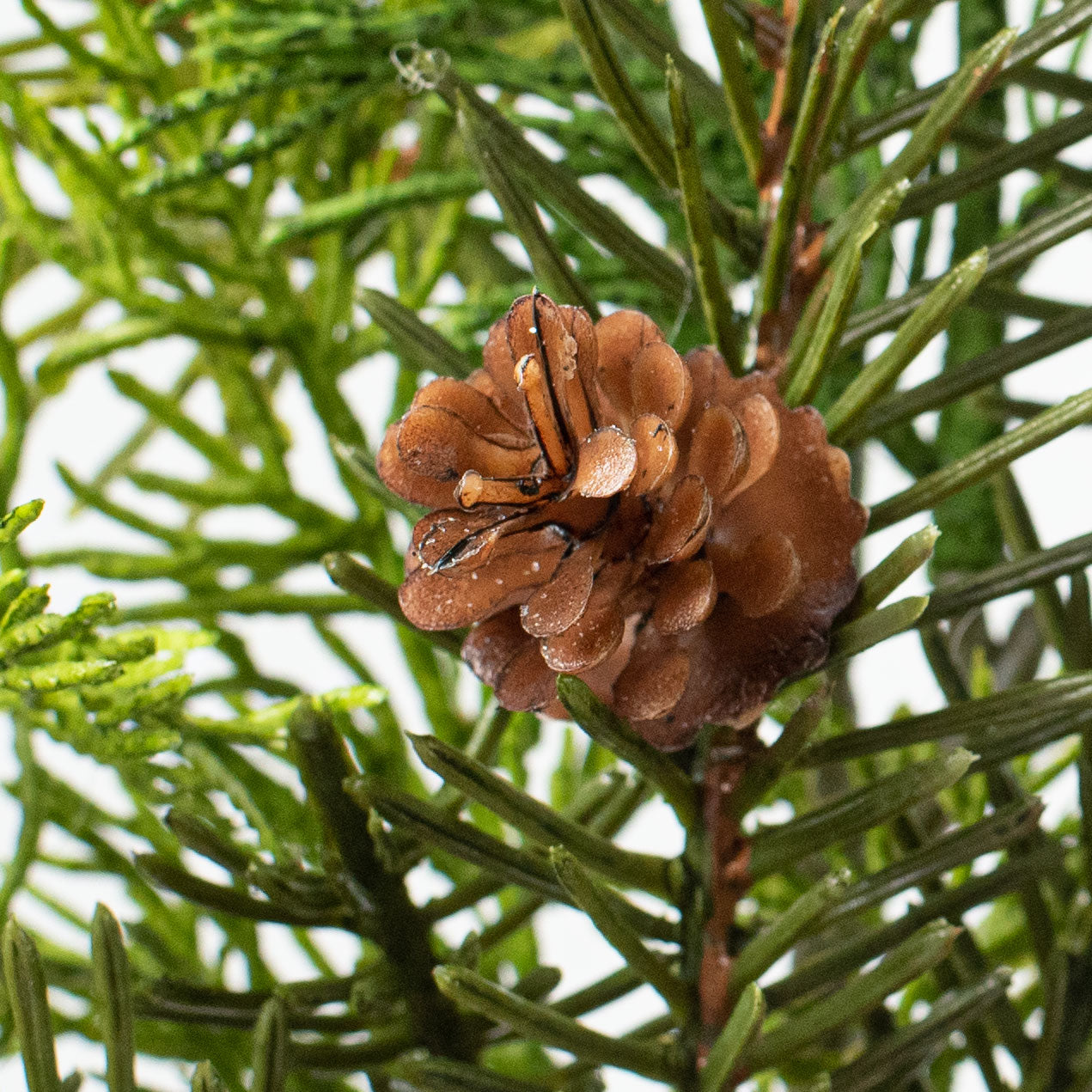 20" Cedar Pine Pinecone Spray detail photo 3