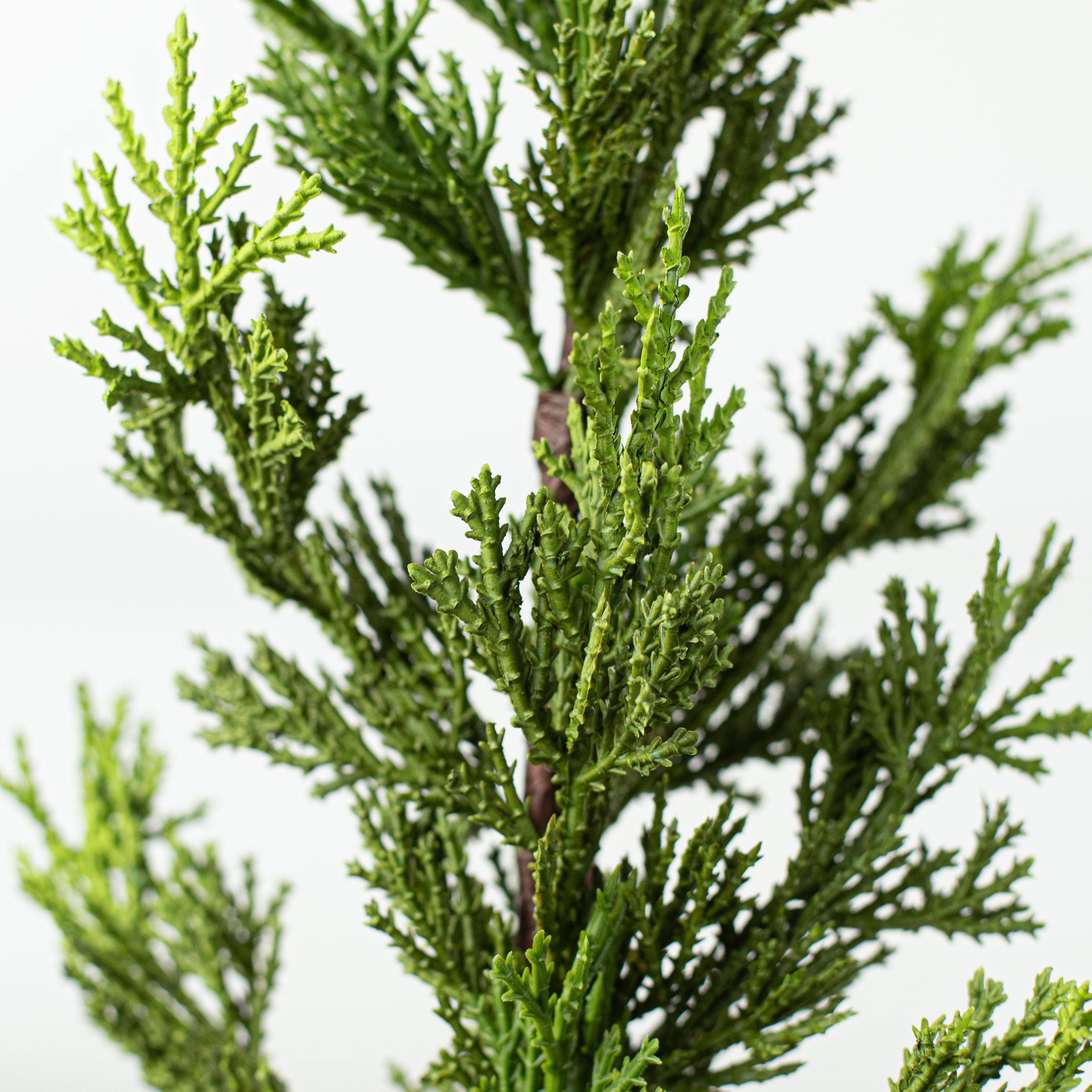 23" Cedar Pine Spray Lifestyle Photo