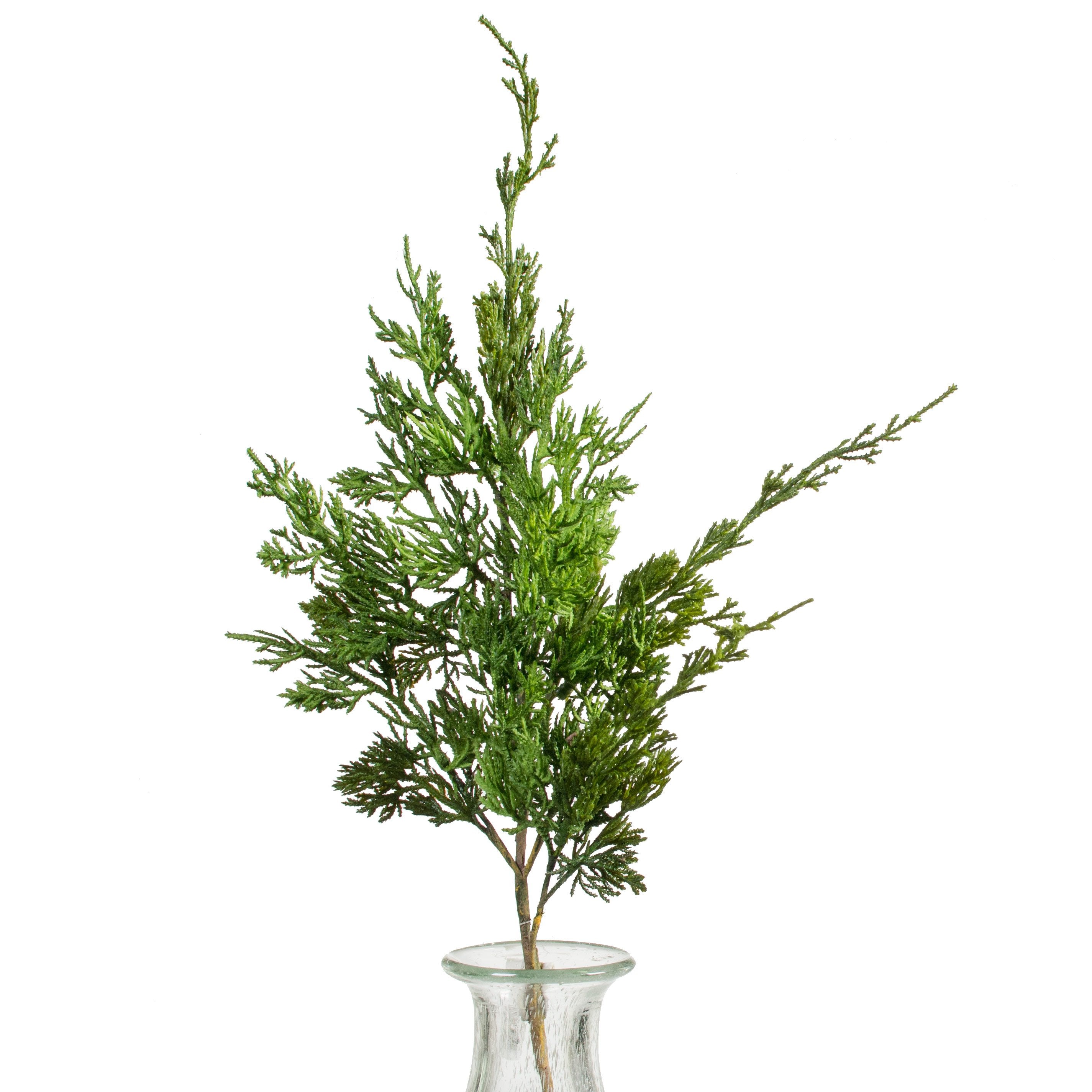 25" Cedar Pine Spray Item Number: 2830183GR