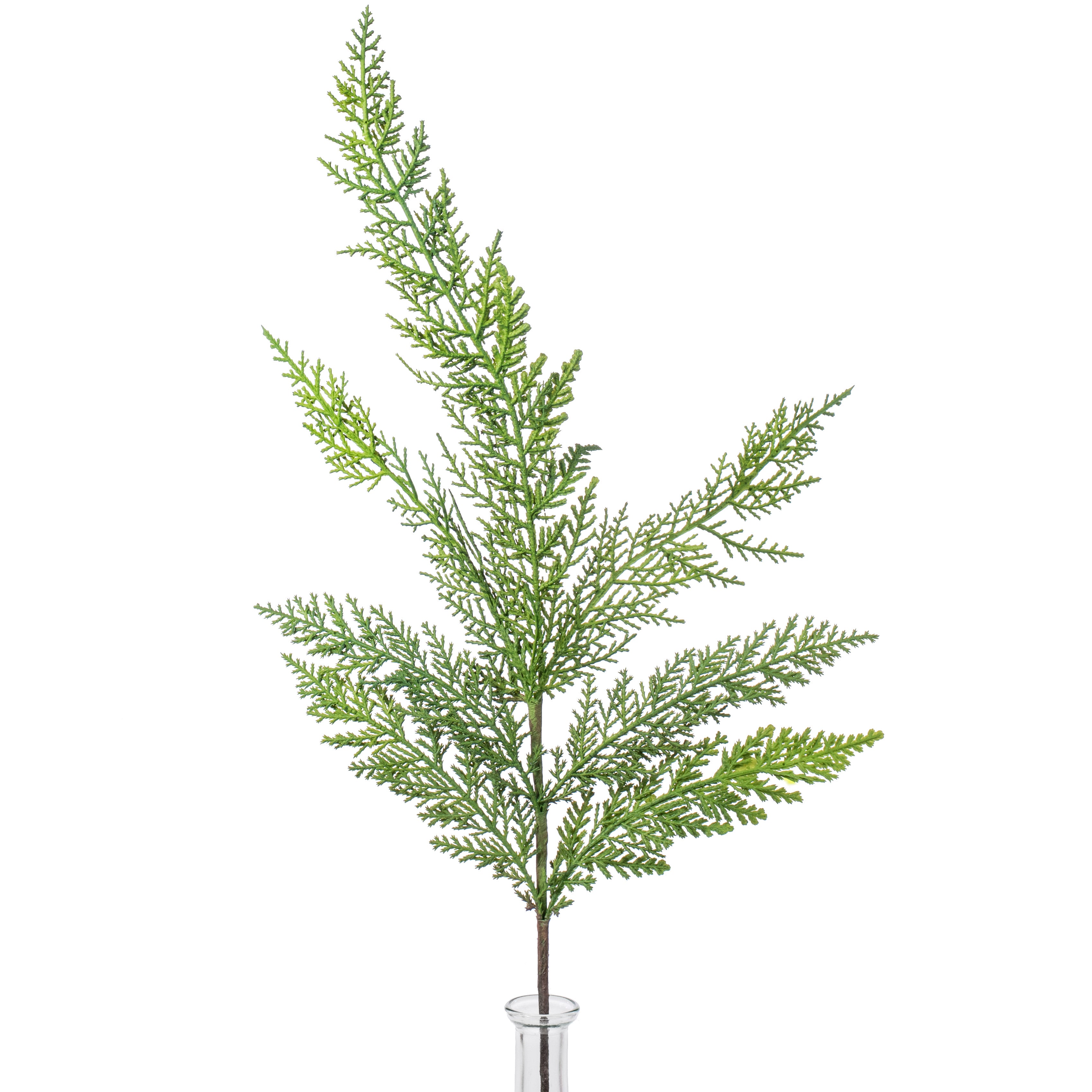 26" Cedar Pine Spray Item Number: 2830248DG