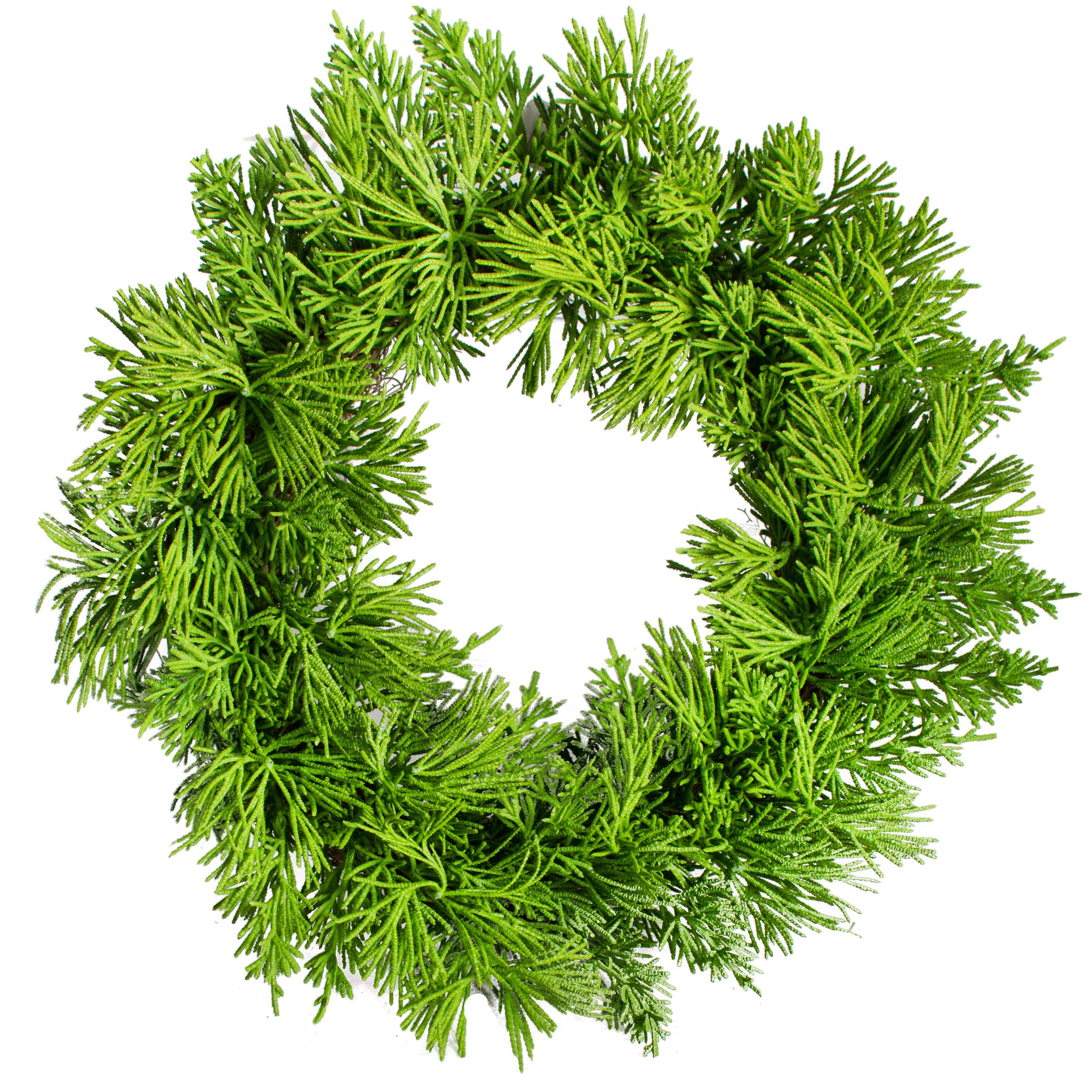 12" Cedar Pine Wreath Item Number: 2833013GR