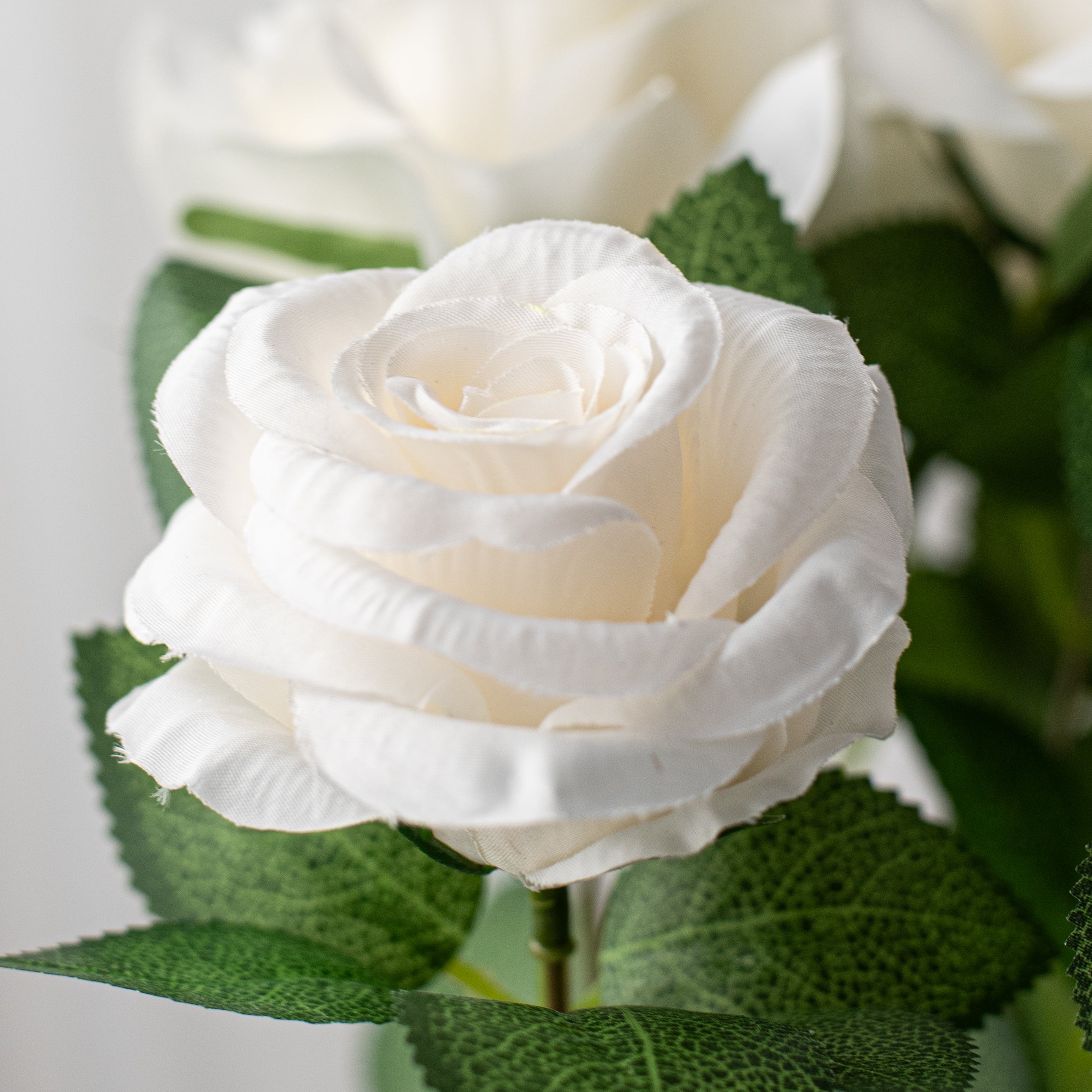 20" Celine Rose Bush: Cream (9 Stem) Lifestyle Photo