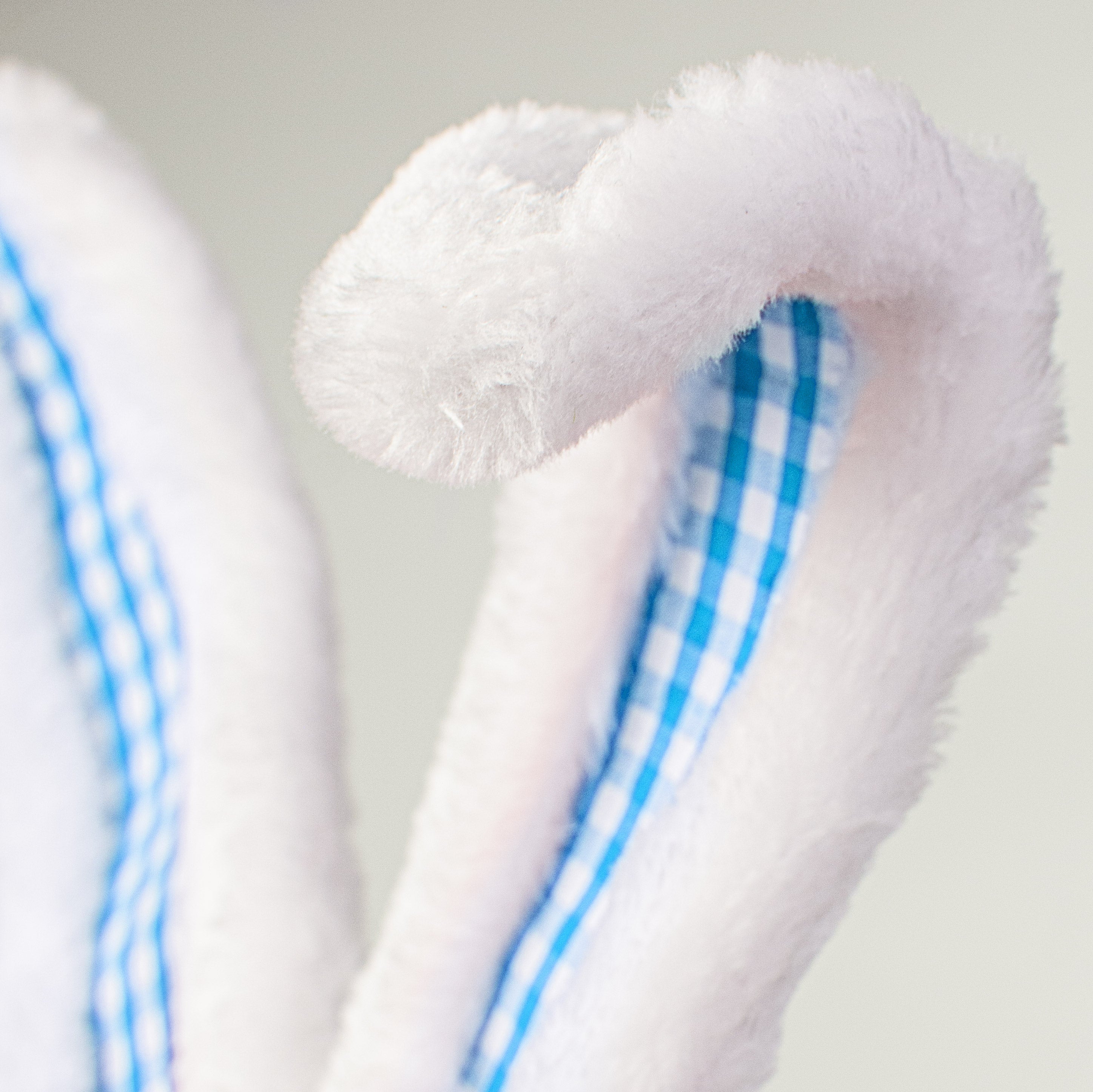 21" Check Bunny Ear Spray: Blue Lifestyle Photo