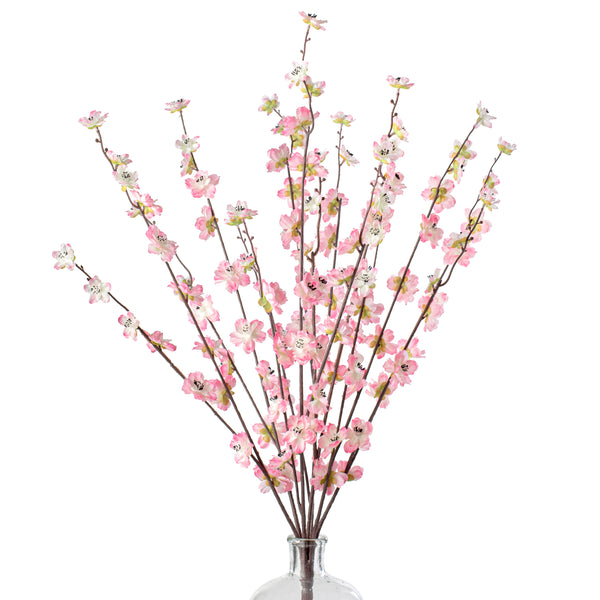 blossom cherry-blossom-bush-pink-
