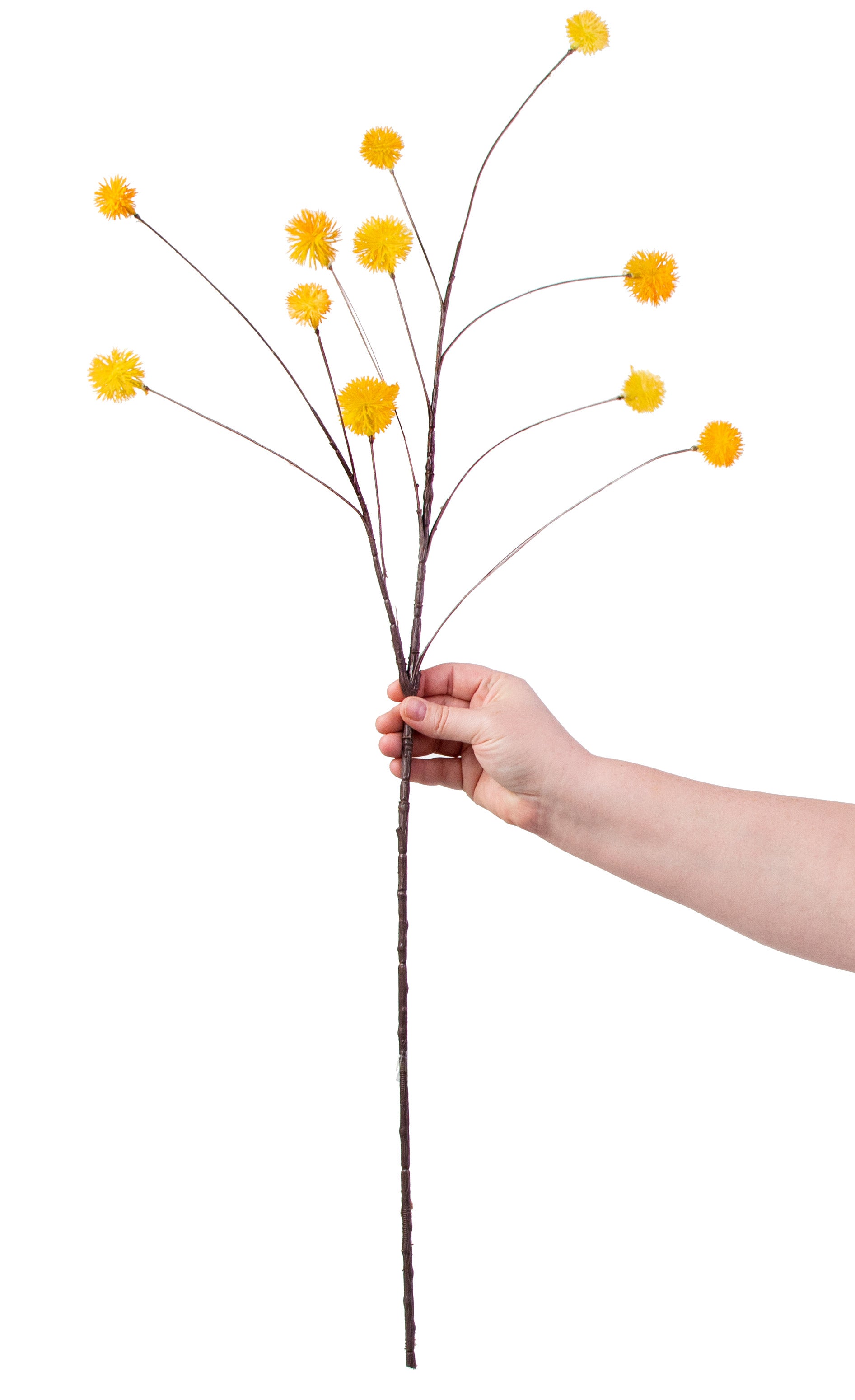 36" Chestnut Pom Pom Spray: Yellow detail photo 3