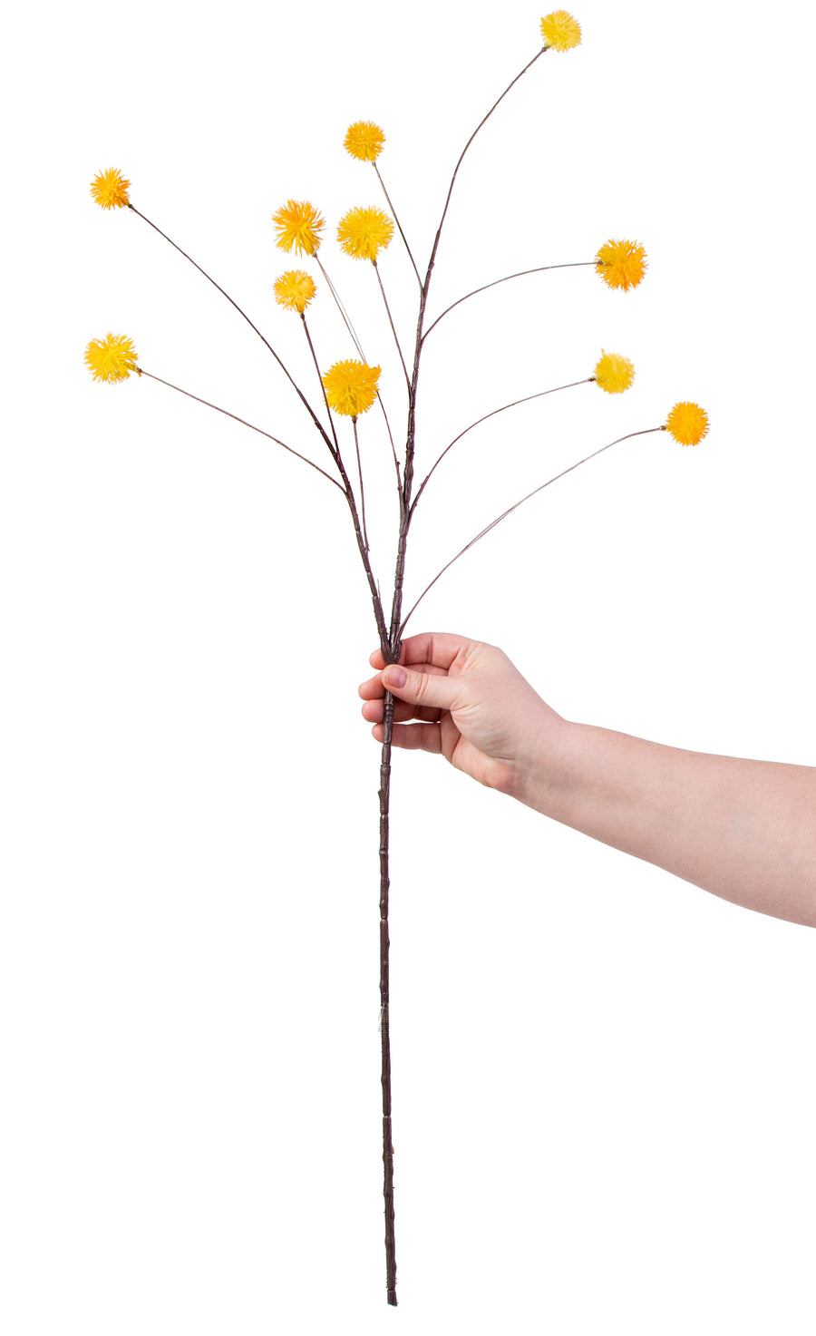 36" Chestnut Pom Pom Spray: Yellow detail photo 3