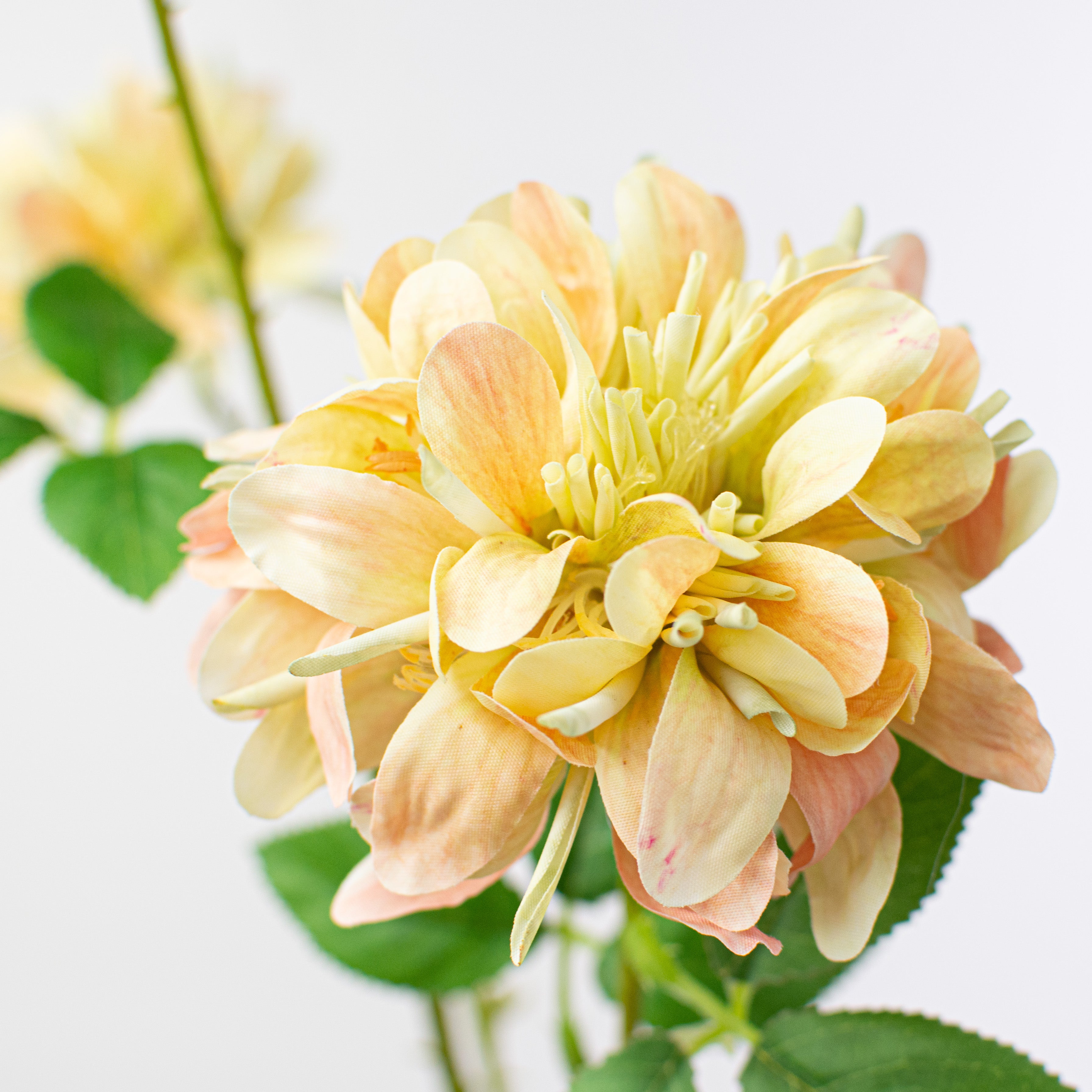28" Chrysanthemum Spray: Cream & Pink Lifestyle Photo
