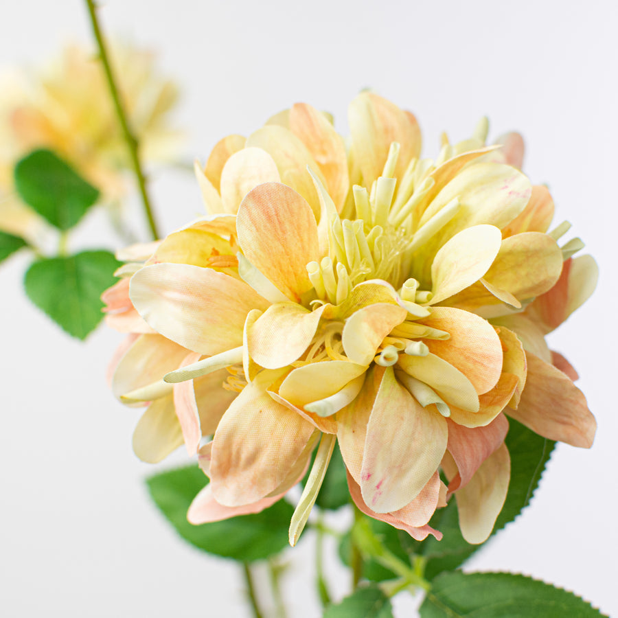 28" Chrysanthemum Spray: Cream & Pink Lifestyle Photo
