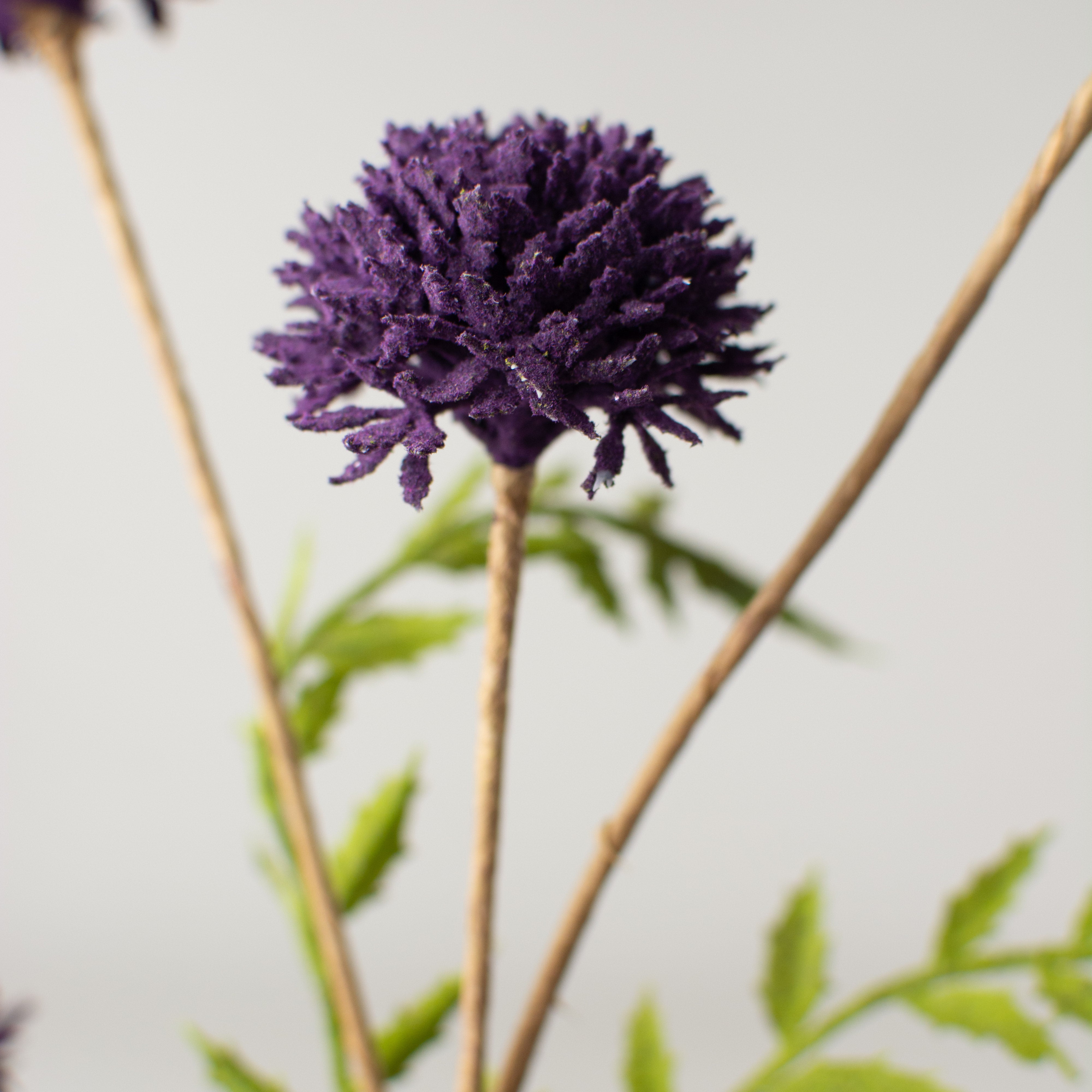 28" Clover Stem: Purple Lifestyle Photo