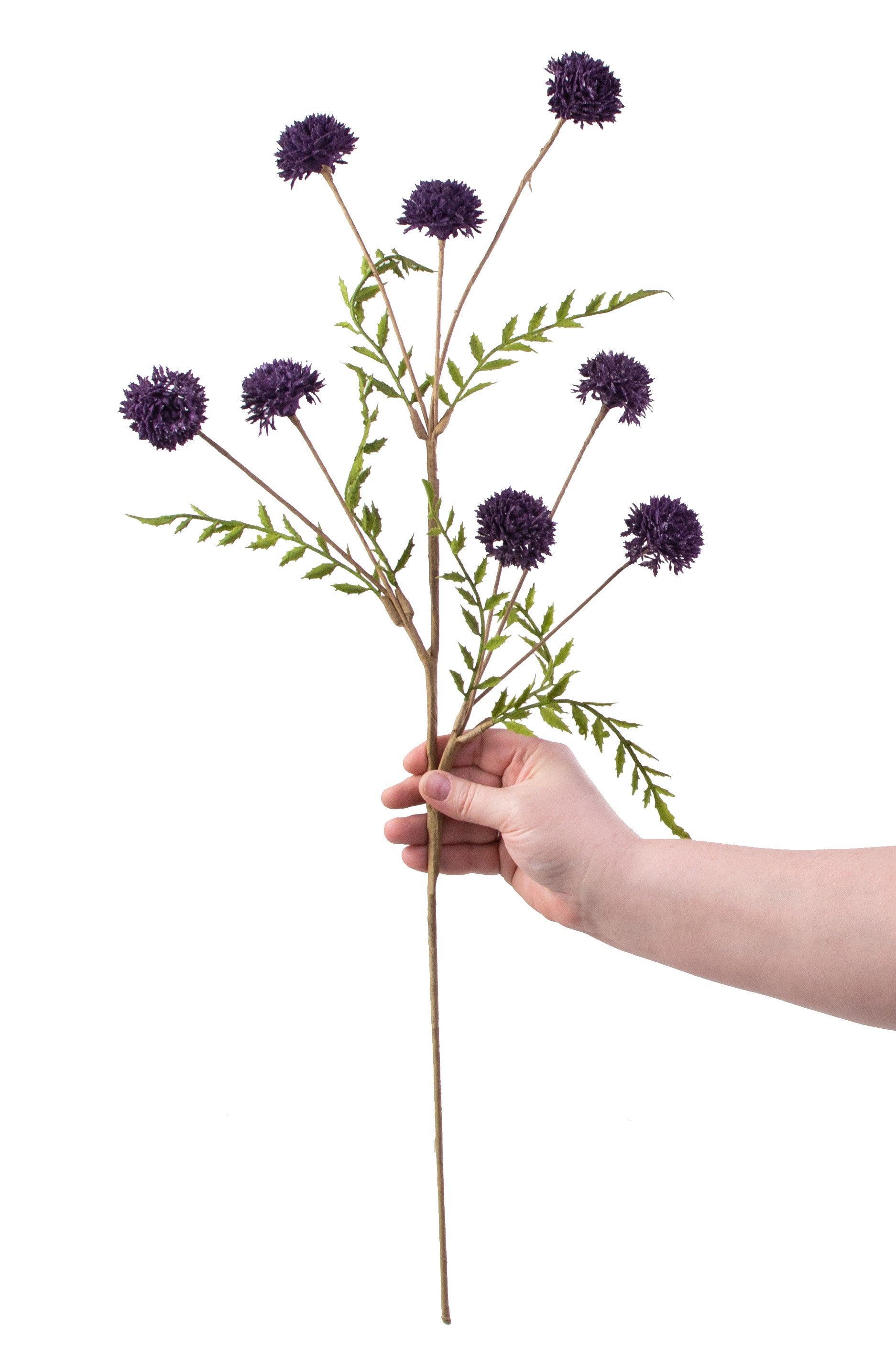 28" Clover Stem: Purple detail photo 3