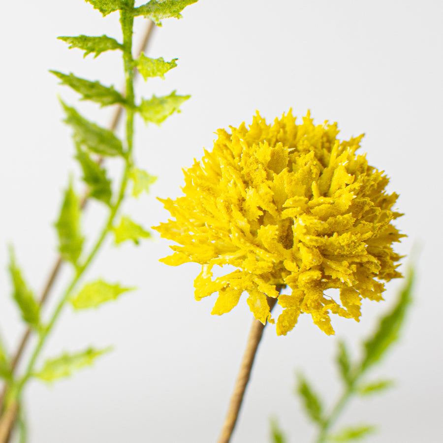 28" Clover Stem: Yellow Lifestyle Photo