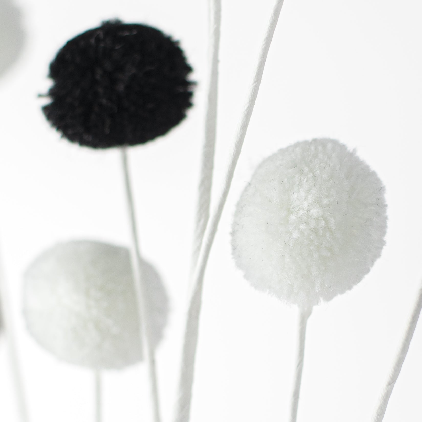 23" 2-Color Pom Pom Spray: Black & White Lifestyle Photo