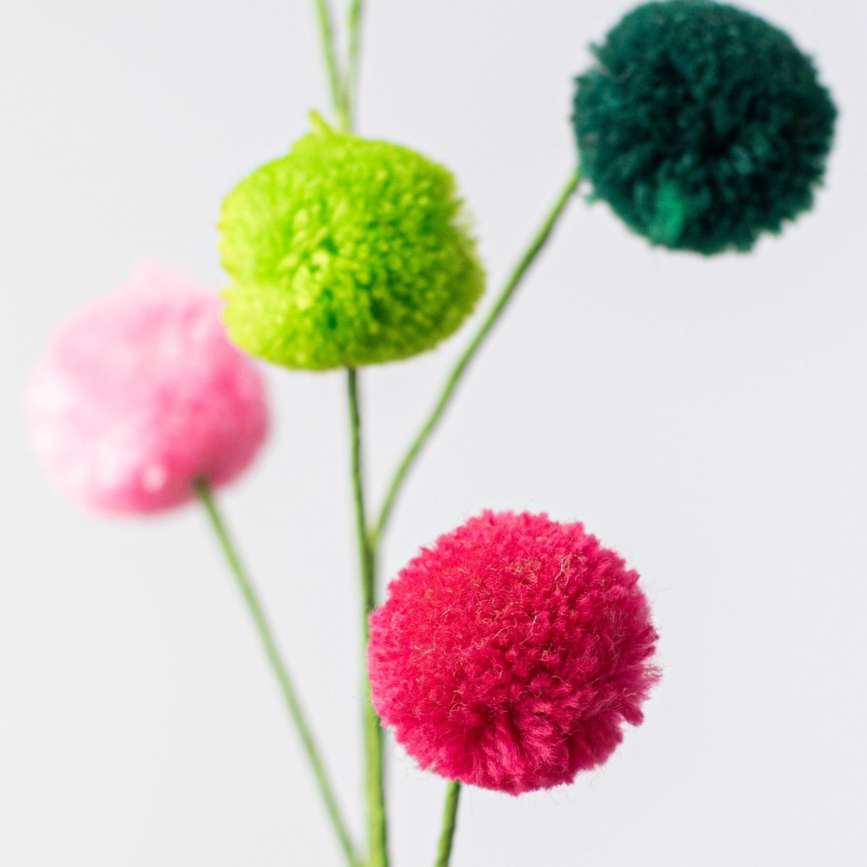 23" 4-Color Pom Pom Spray: Fuchsia, Pink, Lime, Emerald Green Lifestyle Photo