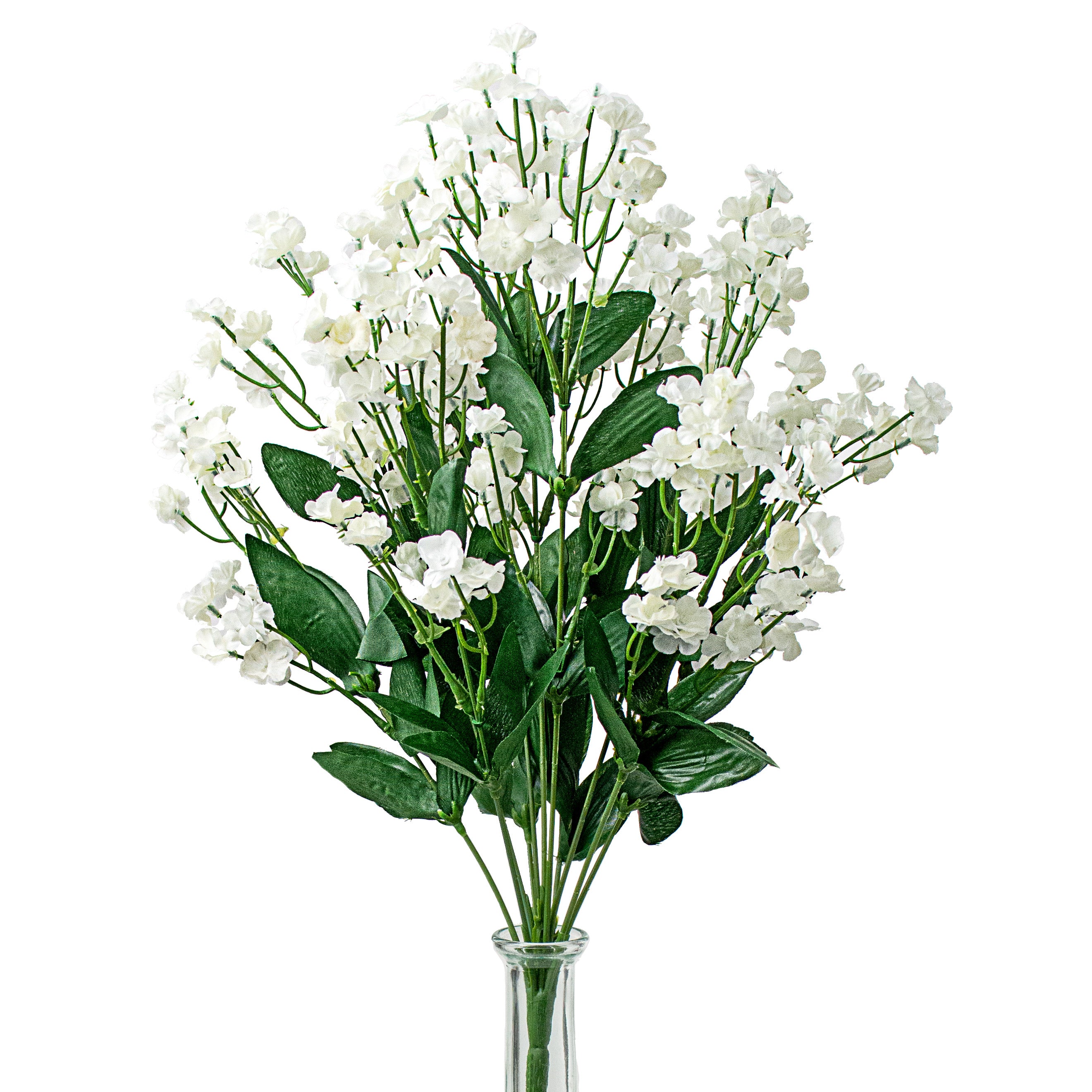 19" Colorfast Double Baby's Breath: Cream Item Number: 31180CM
