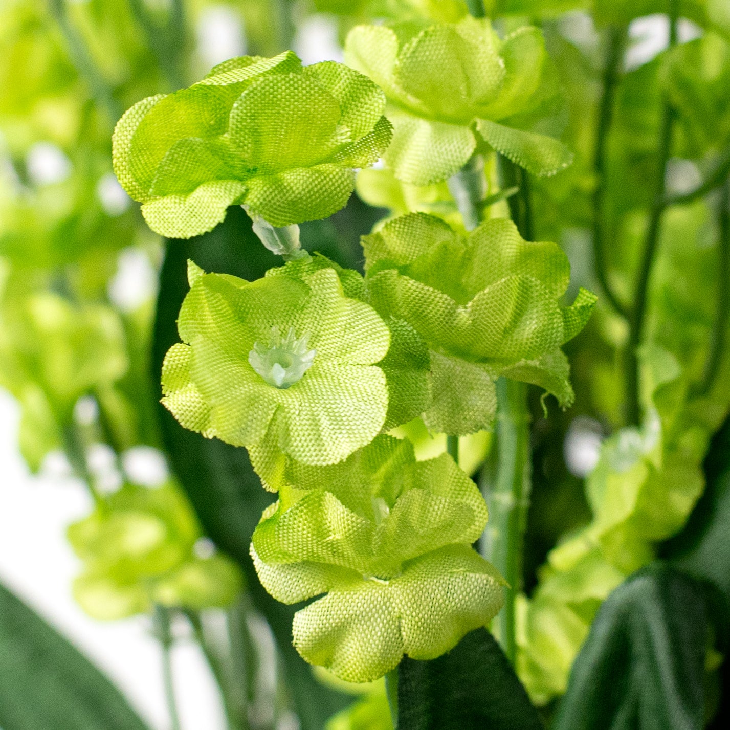 19" Colorfast Double Baby's Breath: Green Lifestyle Photo
