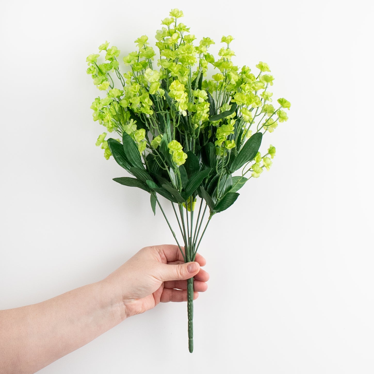 19" Colorfast Double Baby's Breath: Green detail photo 3