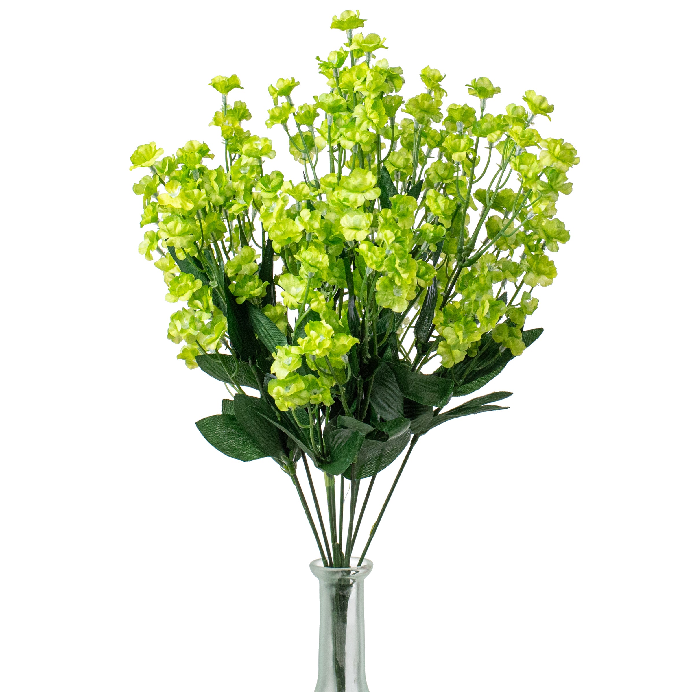19" Colorfast Double Baby's Breath: Green Item Number: 31180GN