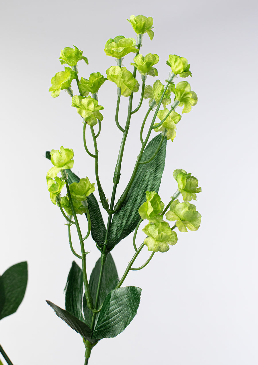 19" Colorfast Double Baby's Breath: Green detail photo 4