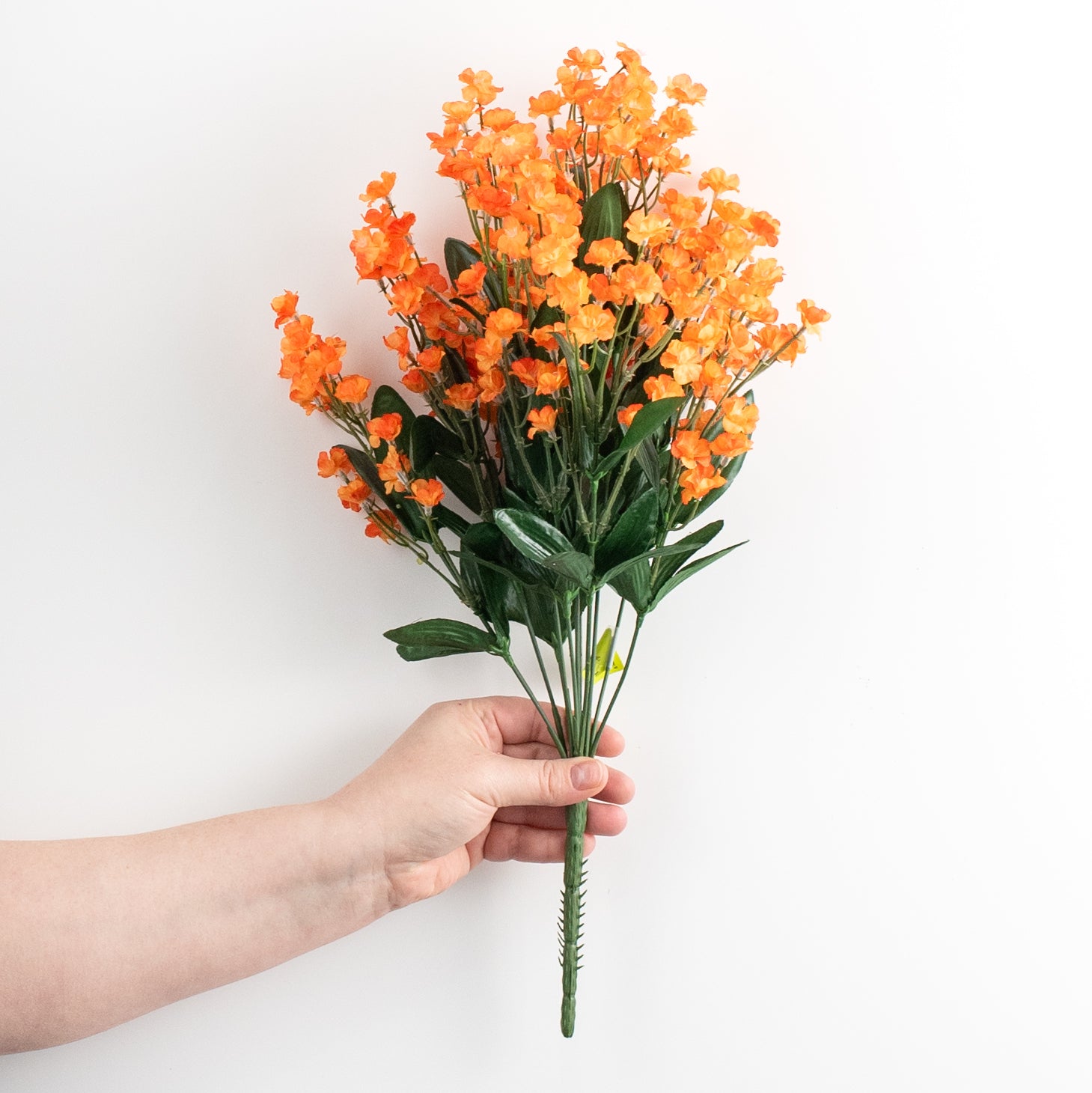 19" Colorfast Double Baby's Breath: Orange detail photo 3