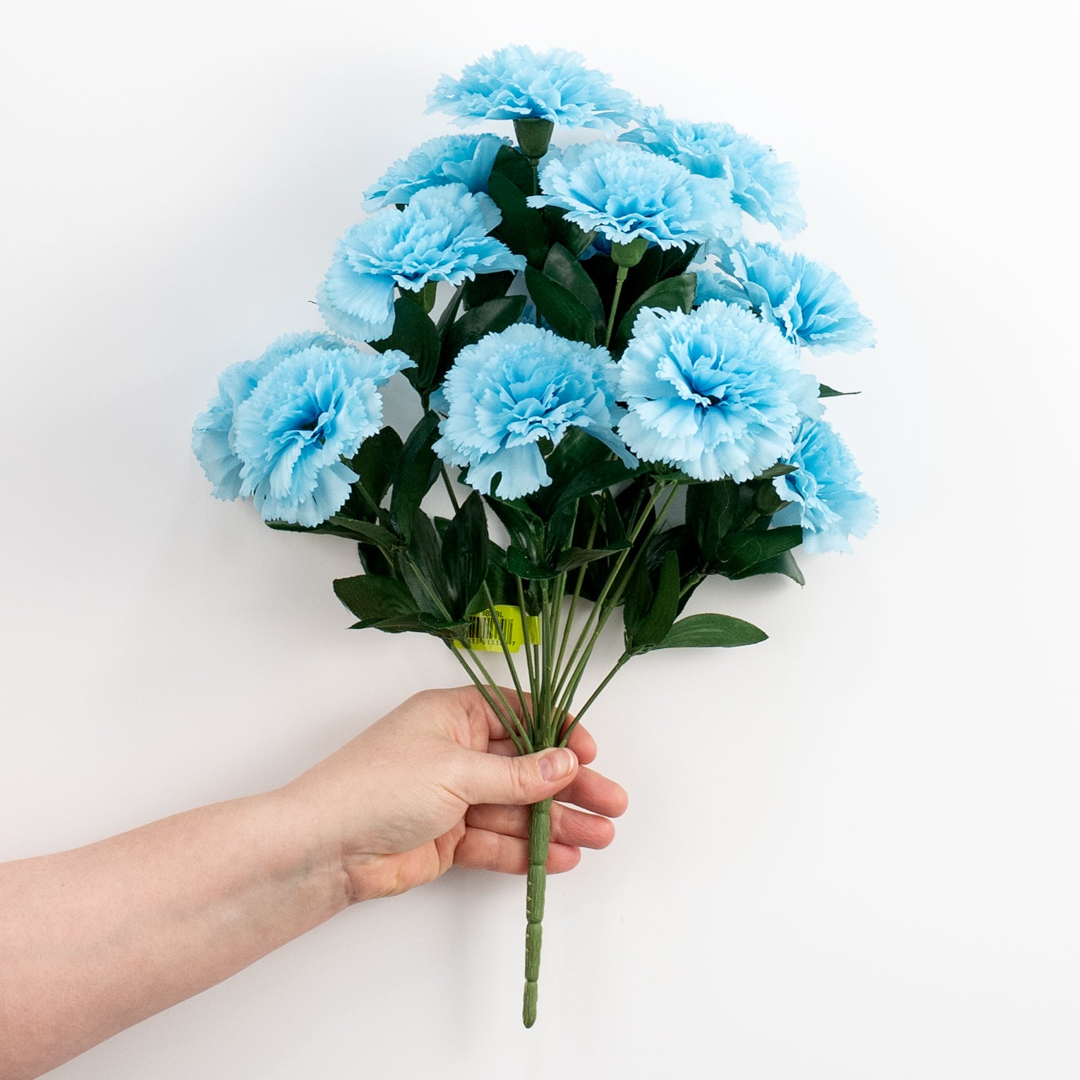 17" Colorfast Carnation Bush: Blue detail photo 3