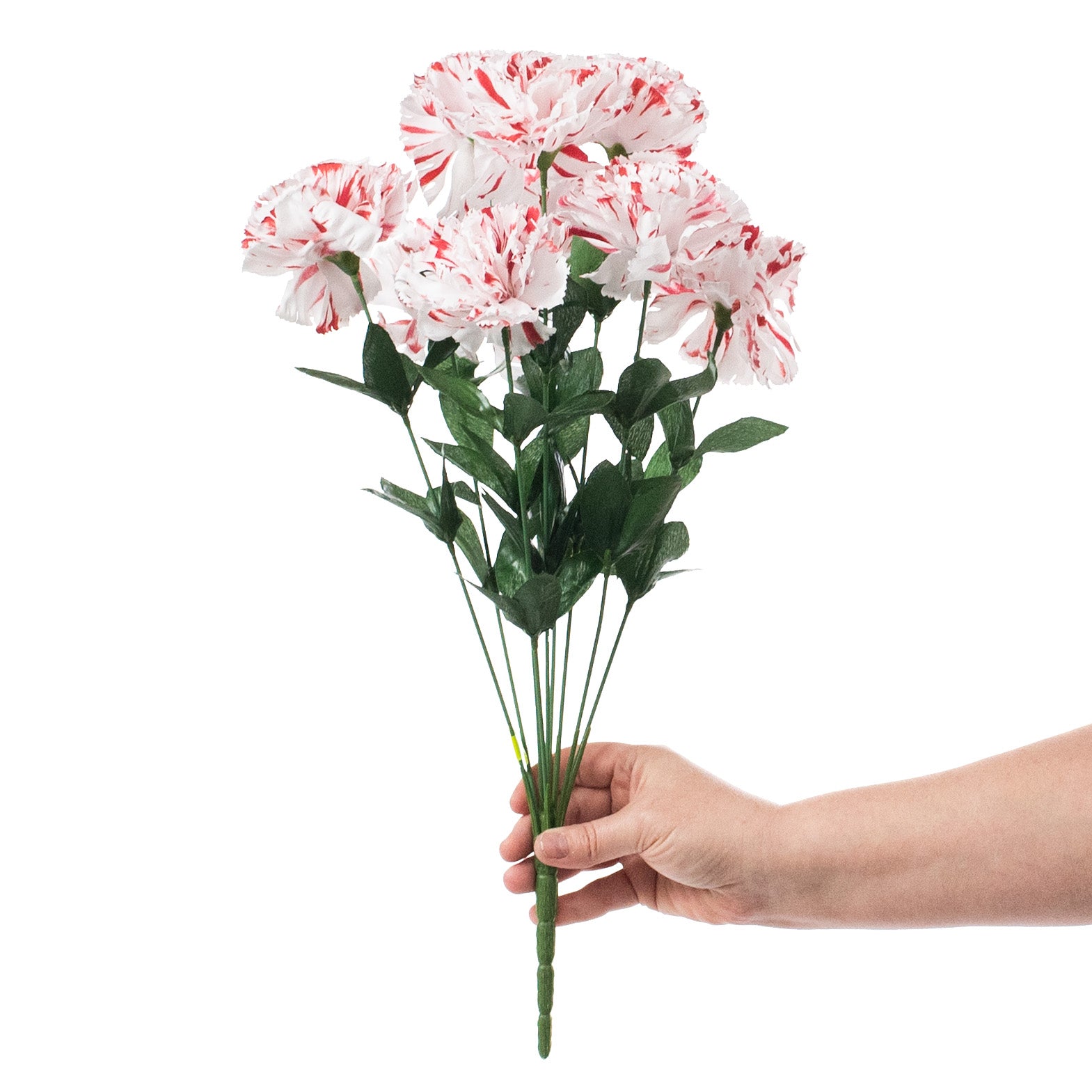 20" Colorfast Carnation Bush: Peppermint detail photo 3