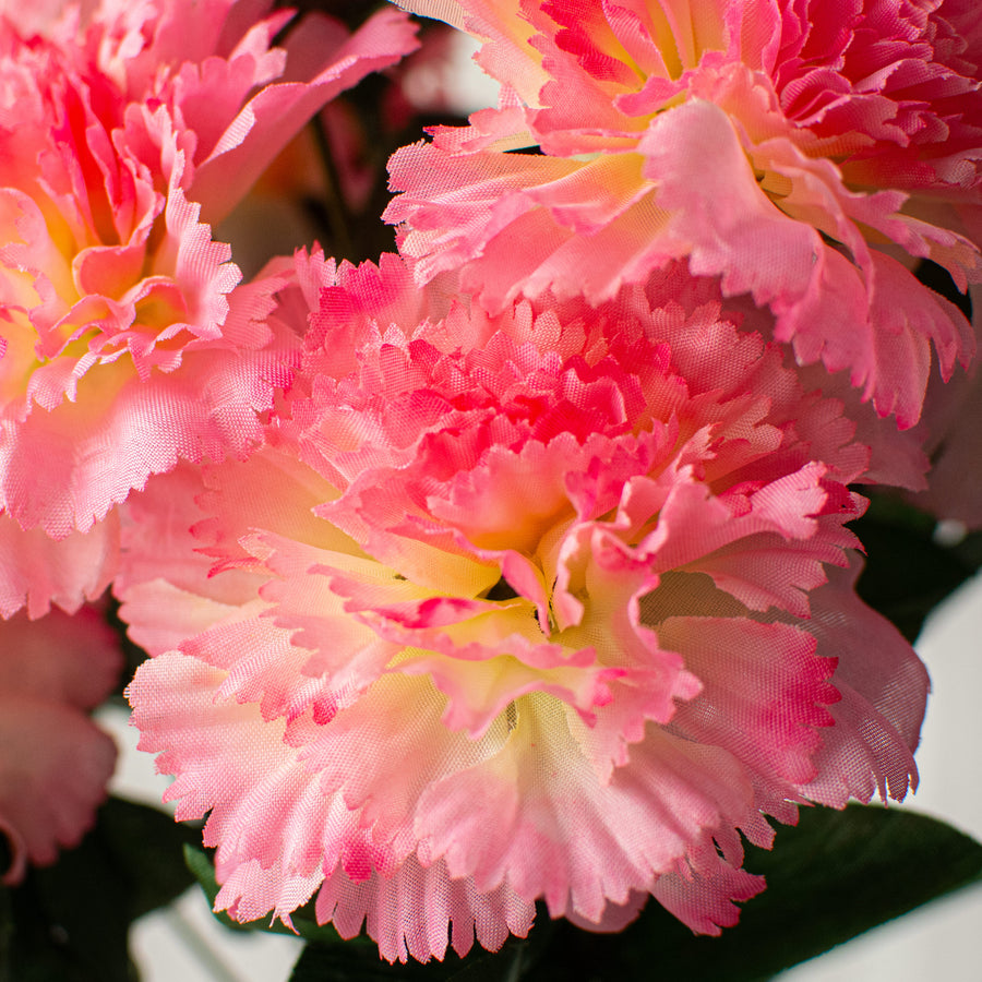 17" Colorfast Carnation Bush: Pink Lifestyle Photo