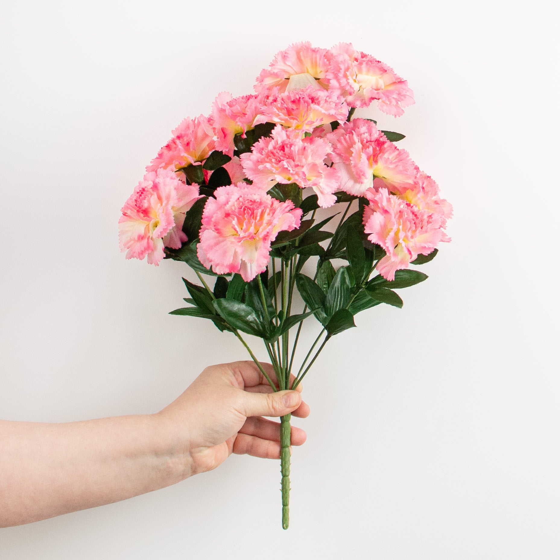 17" Colorfast Carnation Bush: Pink detail photo 3
