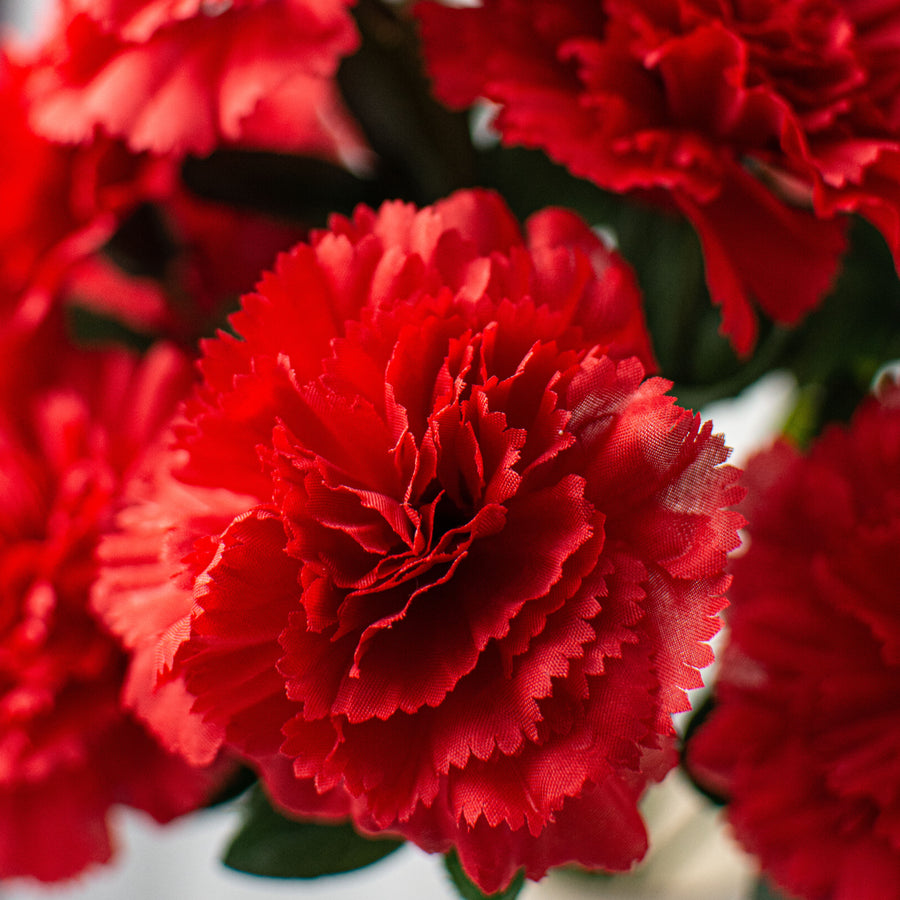 17" Colorfast Carnation Bush: Red Lifestyle Photo