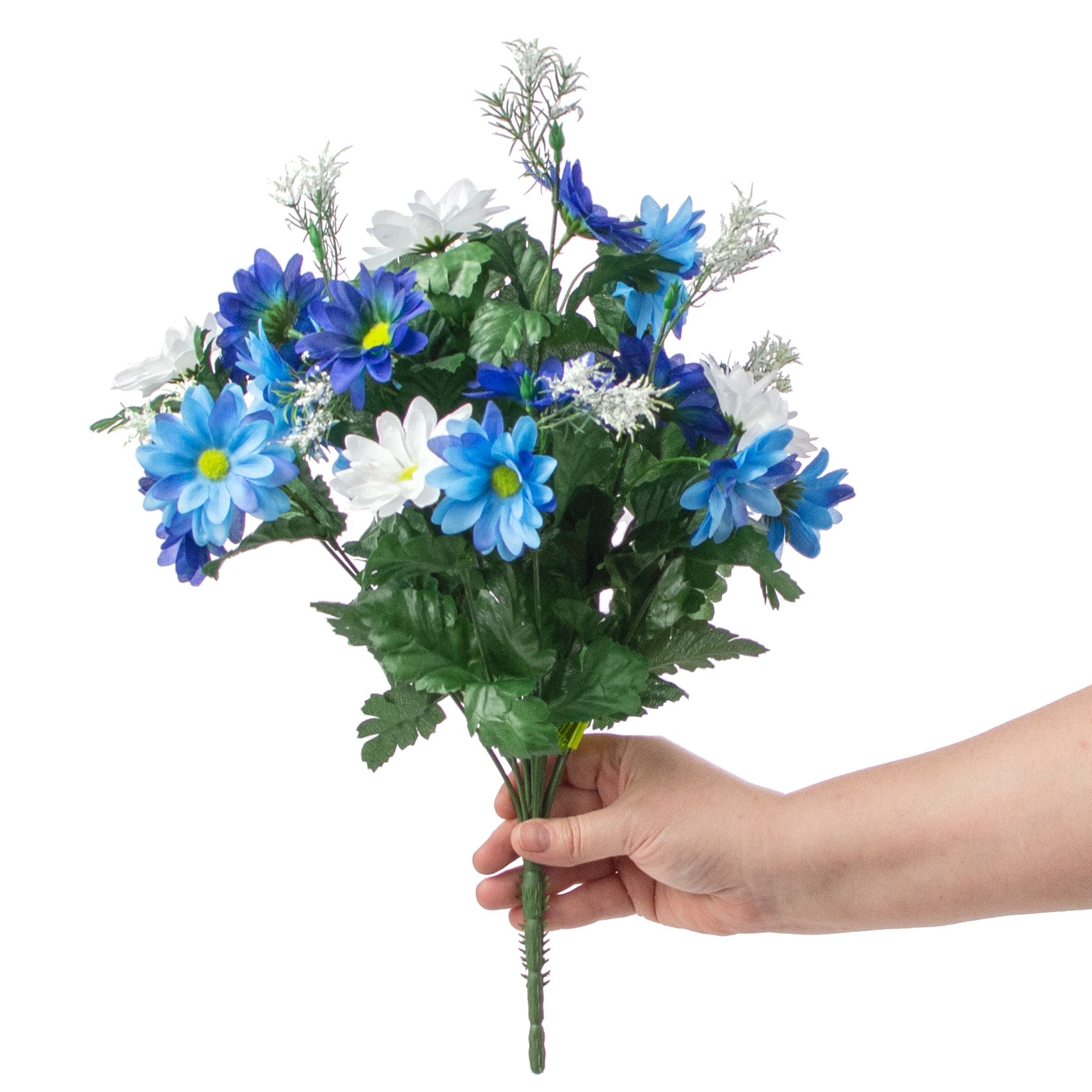 17" Colorfast Daisy Mix Bush: Blue & White detail photo 3