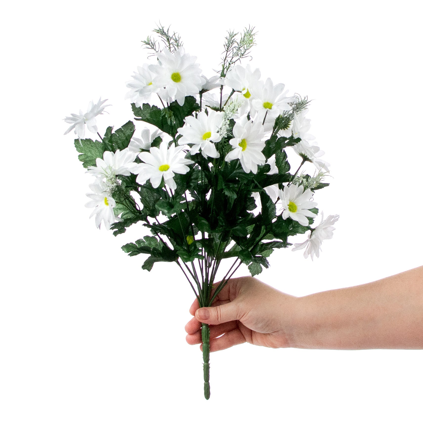 17" Colorfast Daisy Mix Bush: White detail photo 3