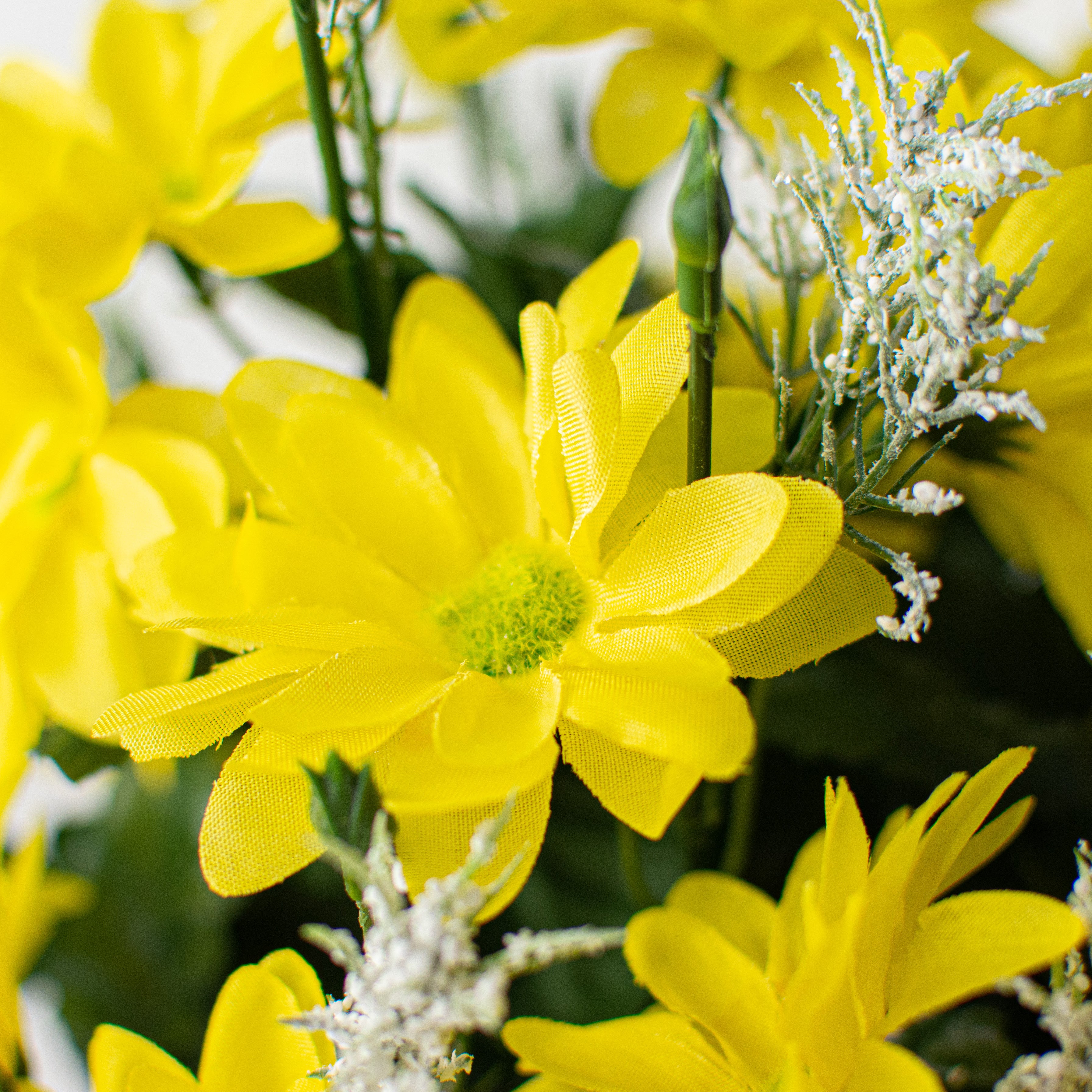17" Colorfast Daisy Mix Bush: Yellow Lifestyle Photo