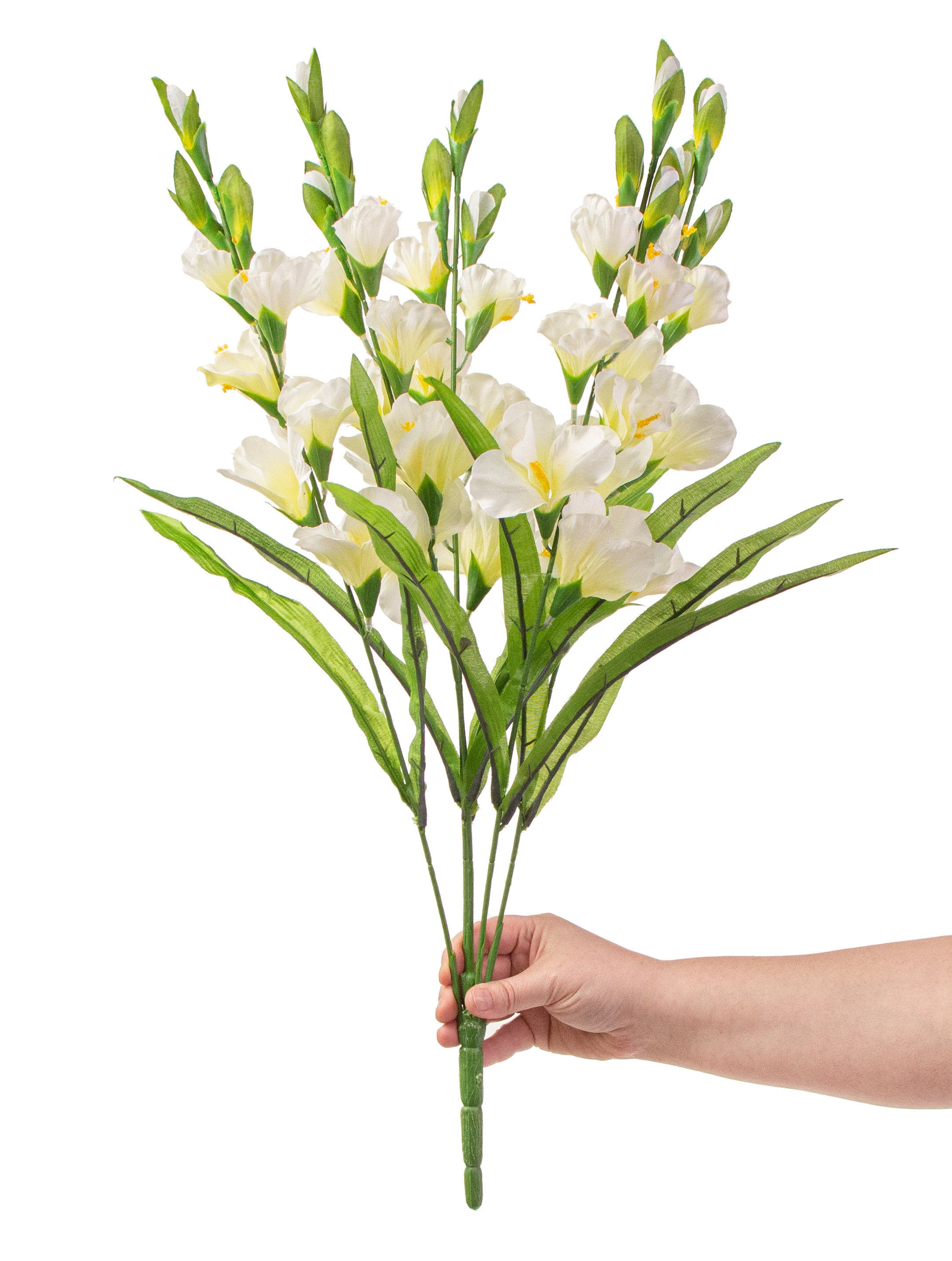 28" Colorfast Gladiolus Bush: Cream detail photo 3